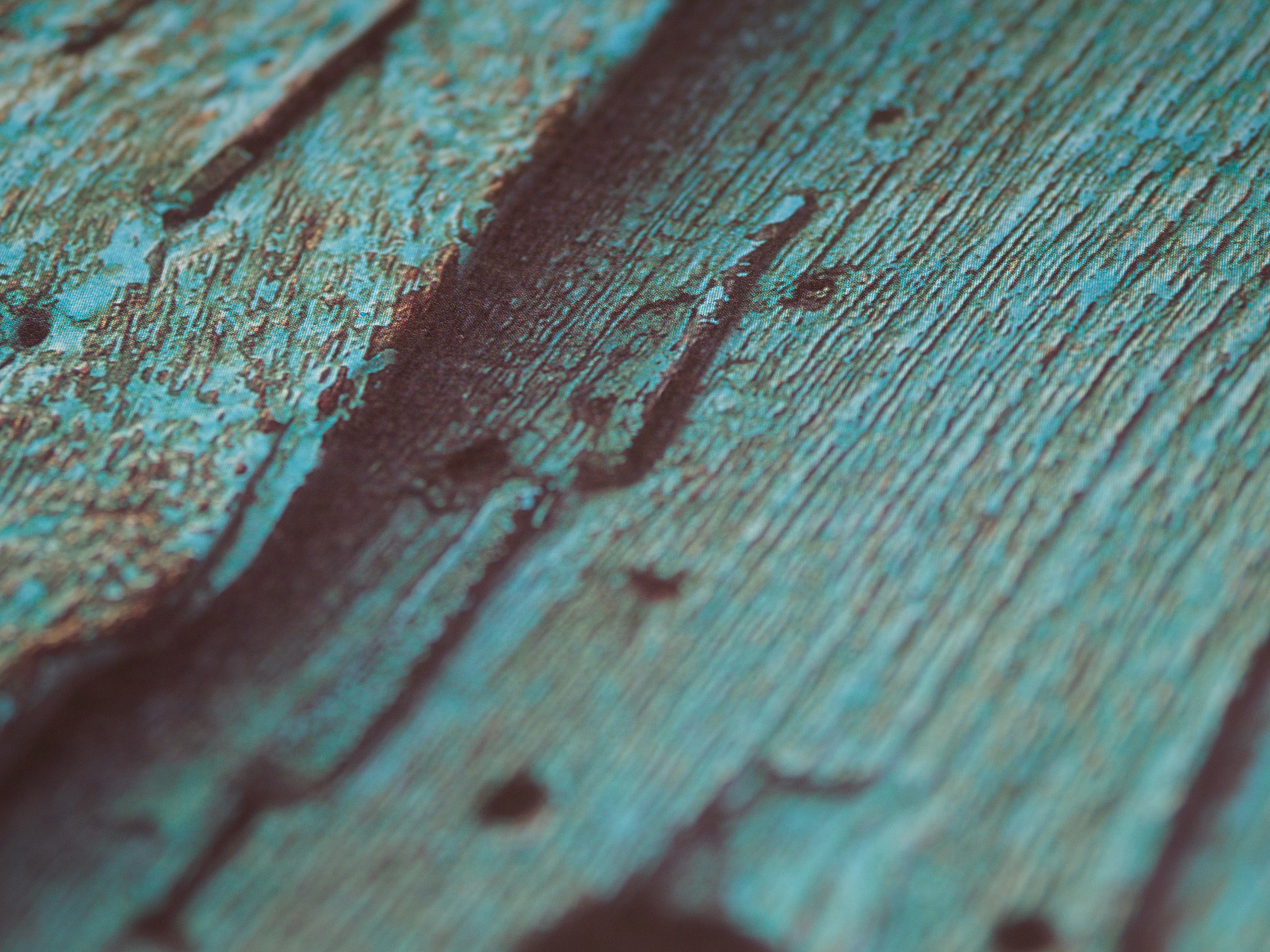 Photo by brett_jordan