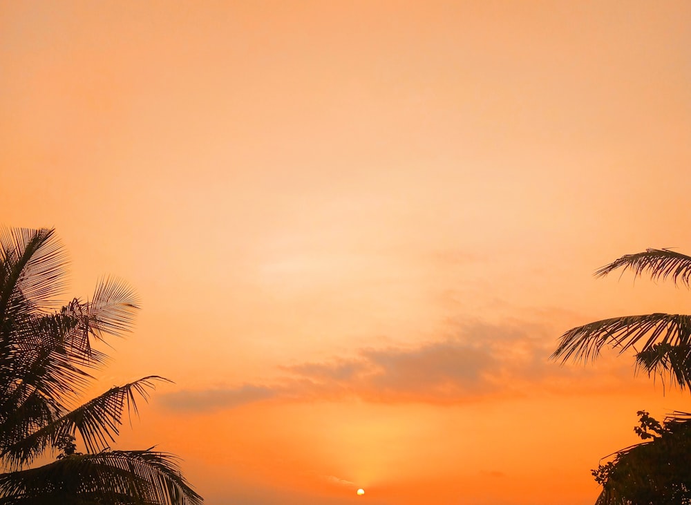 the sun is setting behind some palm trees