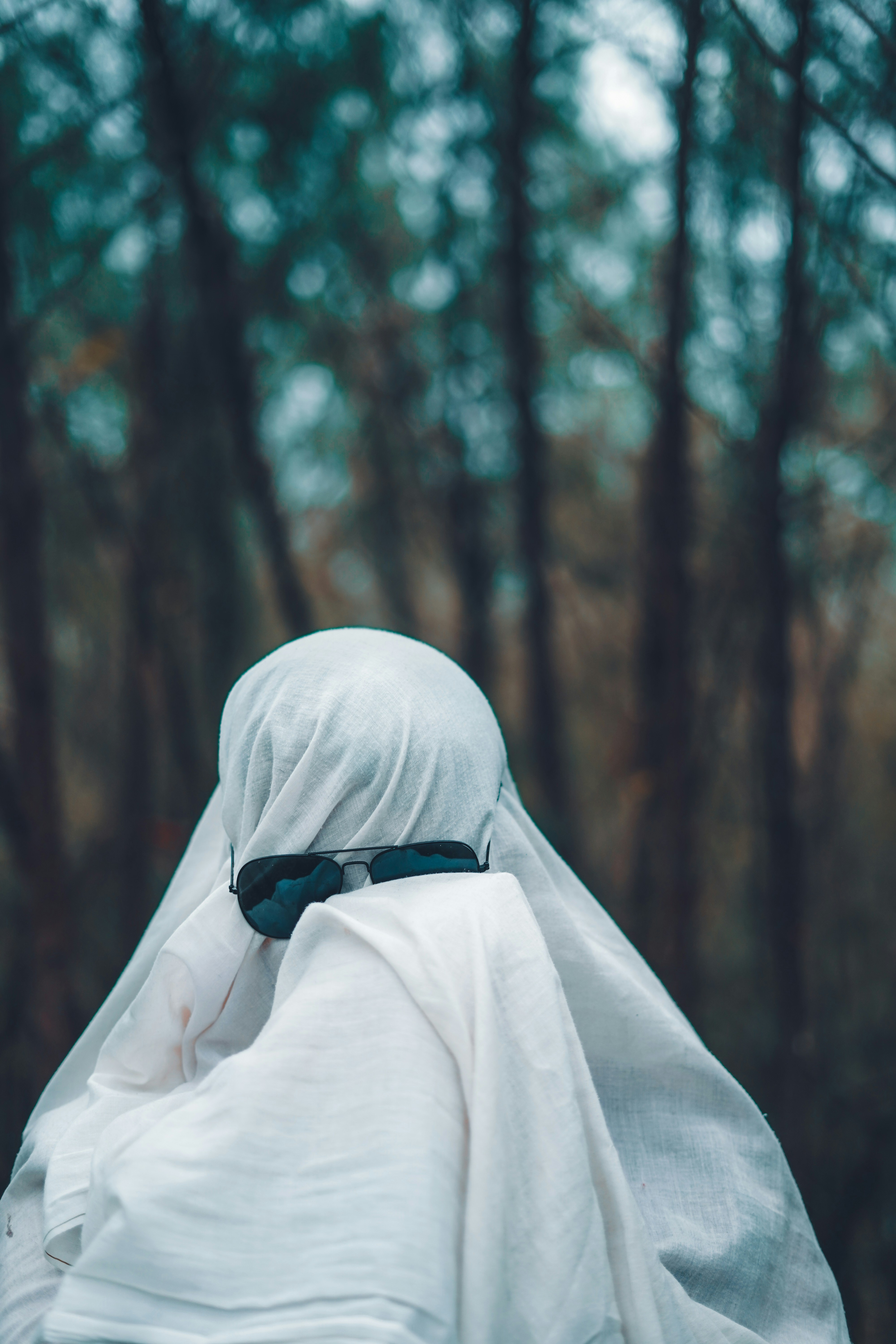 Photo by monishaselv