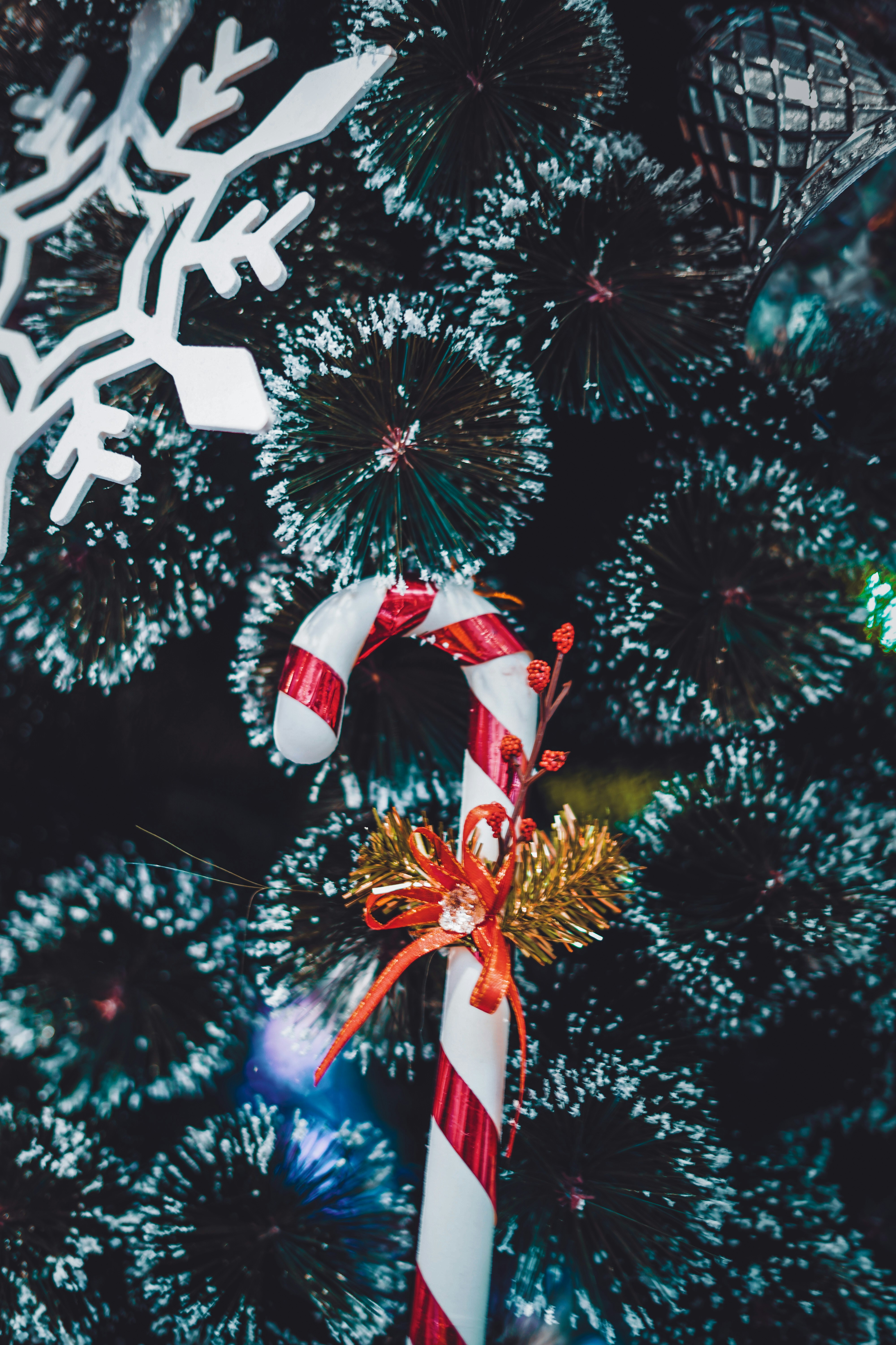 Photo by monishaselv