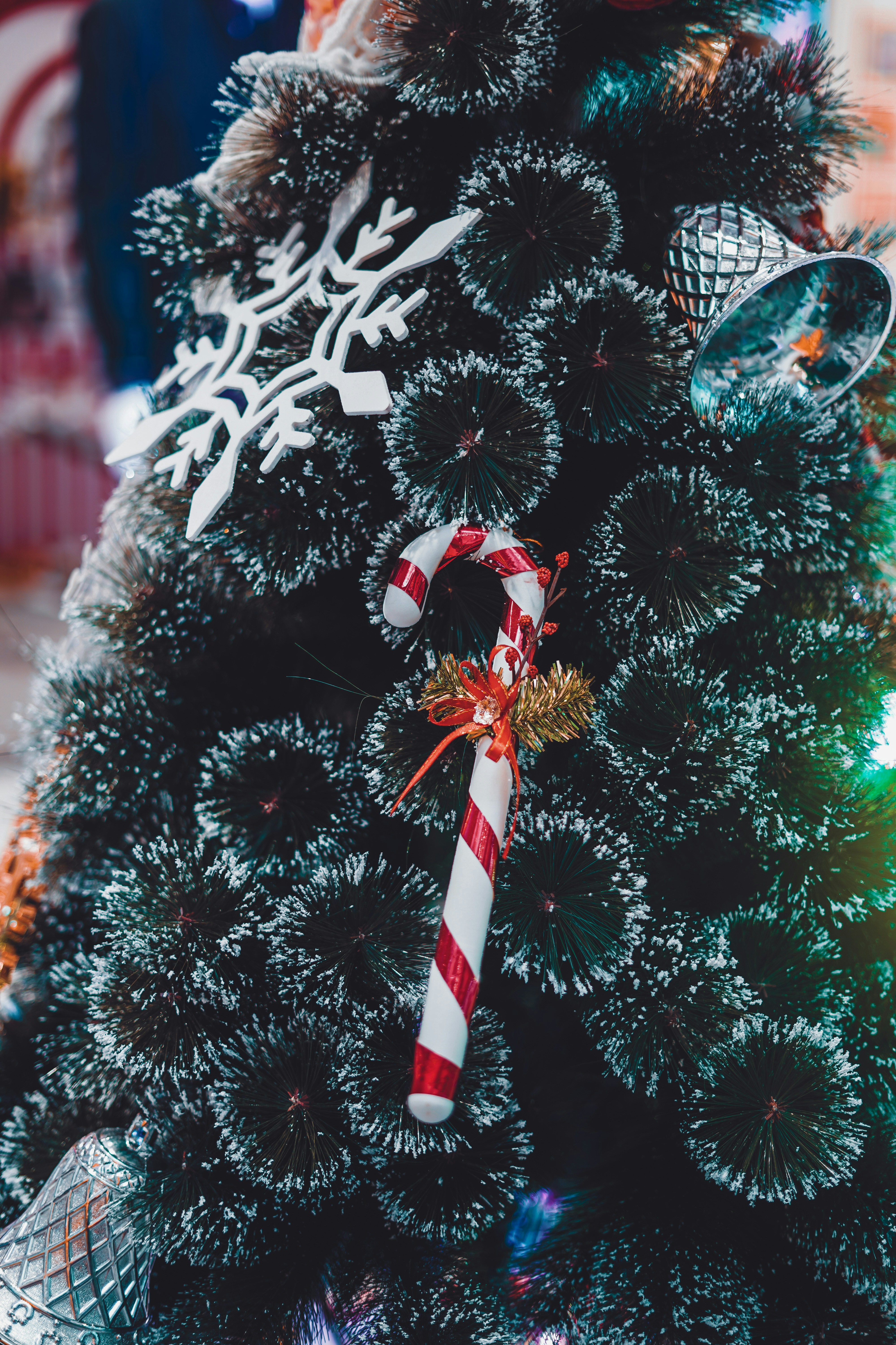 Photo by monishaselv