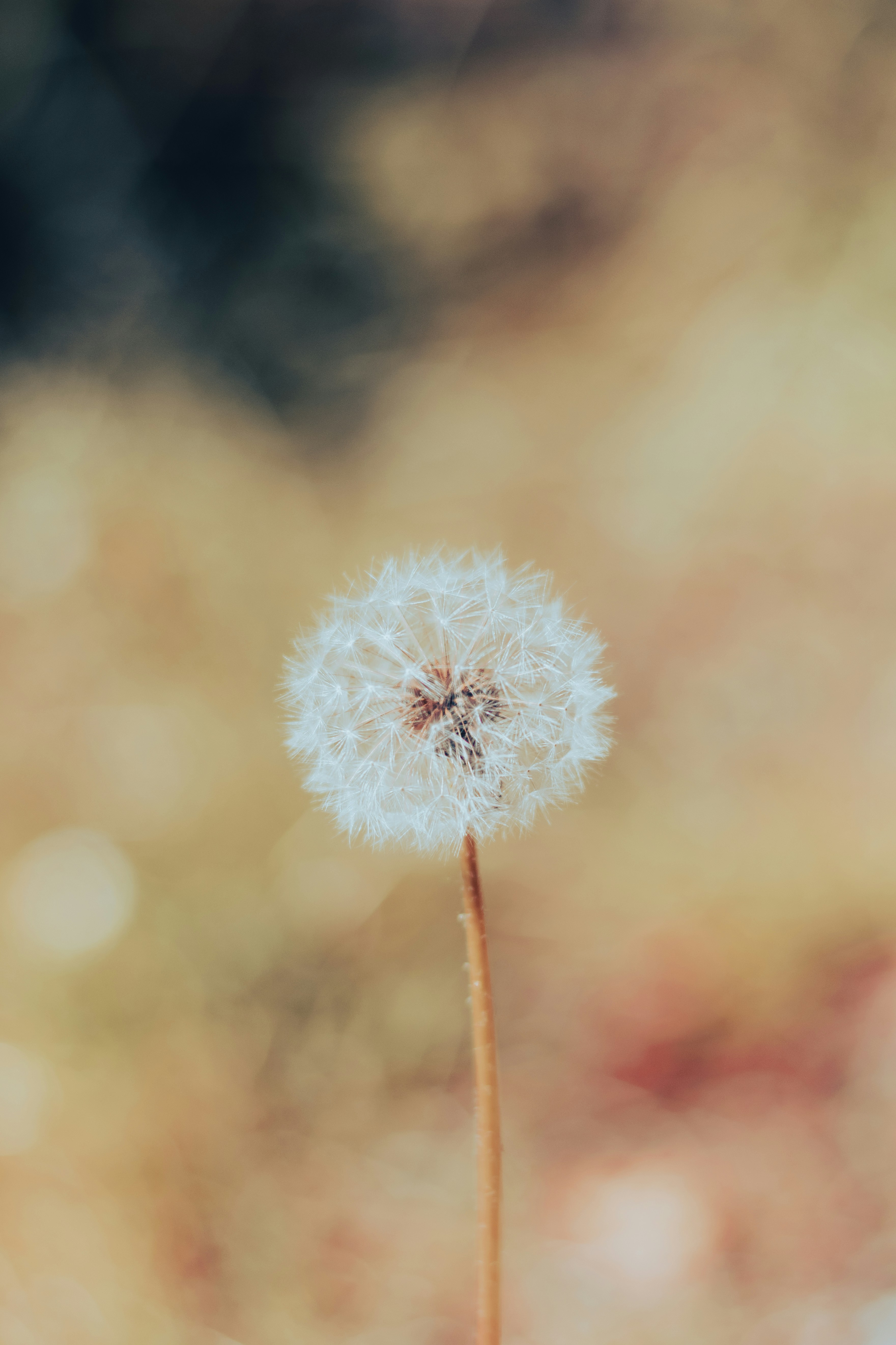 Photo by binekrafczyk