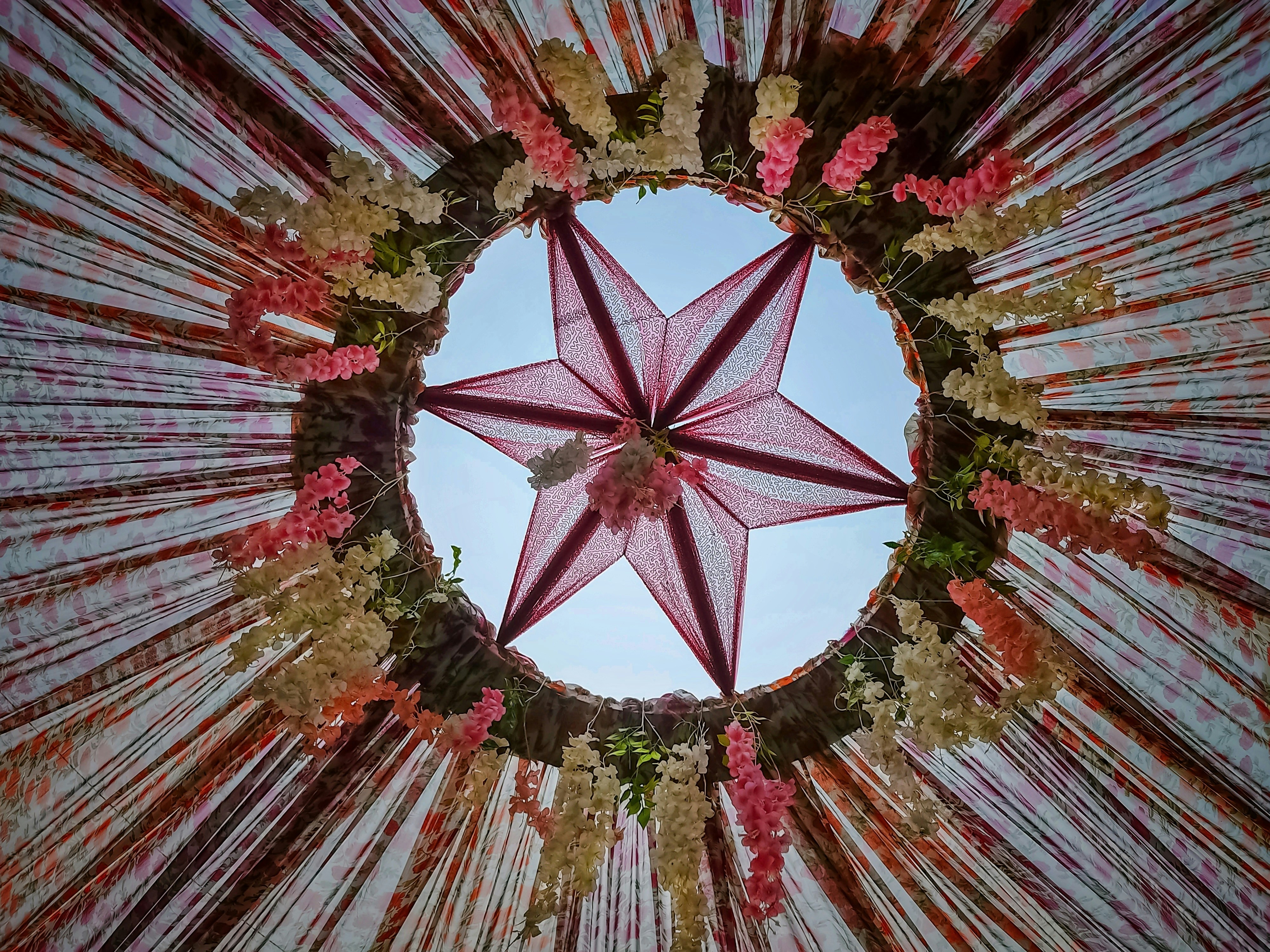 uma vista de uma estrela no meio de um arranjo de flores