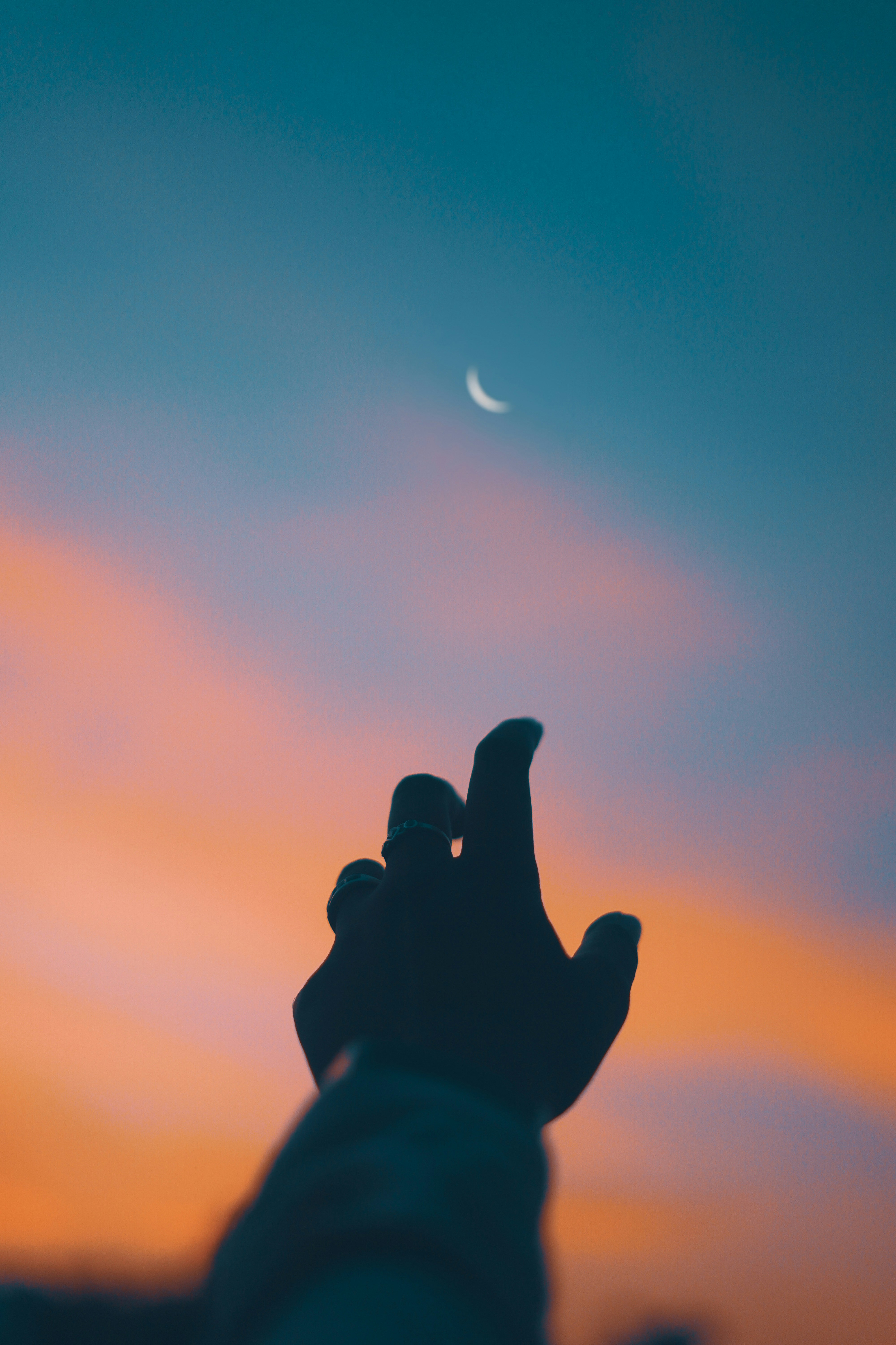 Ein Vogel fliegt am Himmel