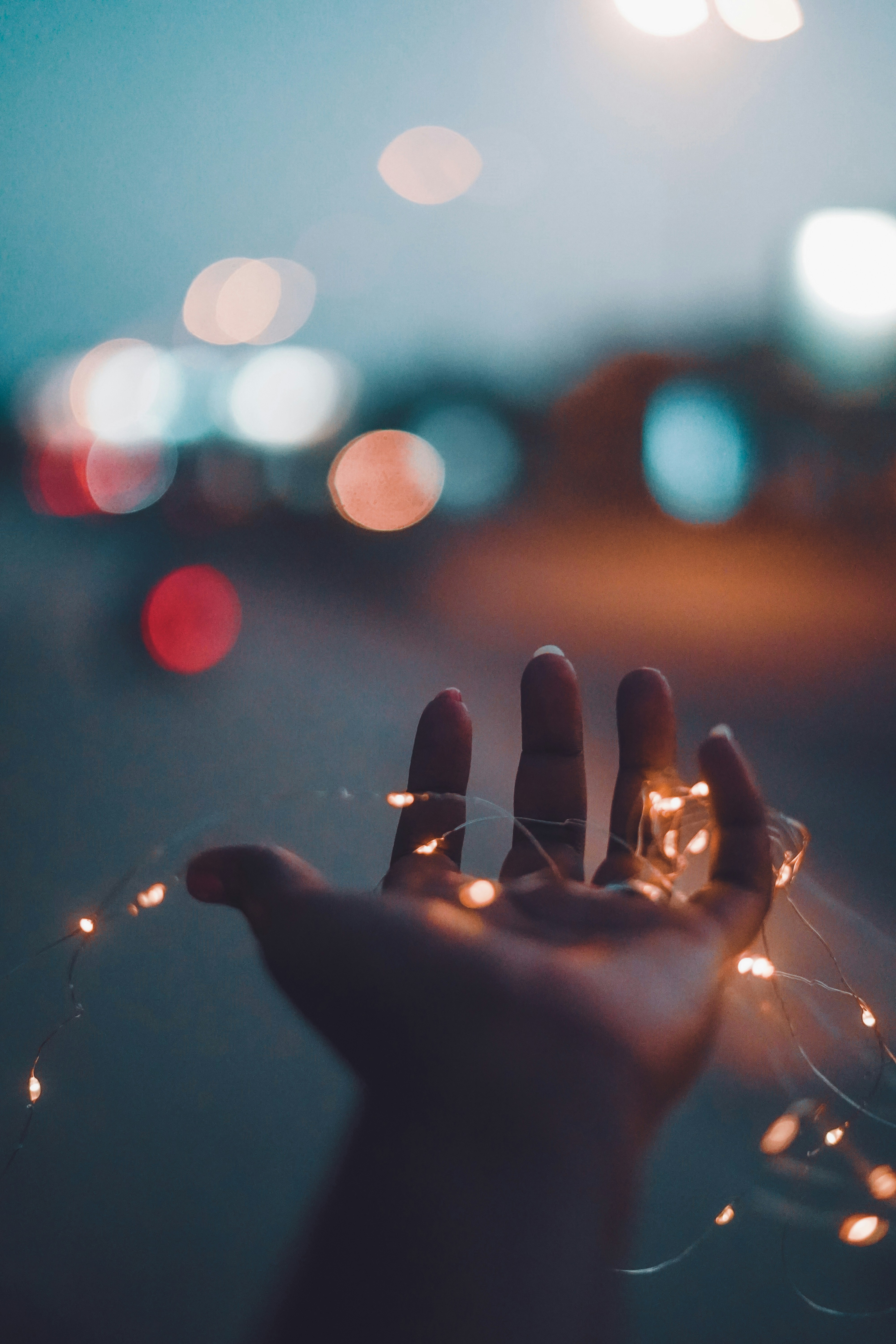 Photo by monishaselv