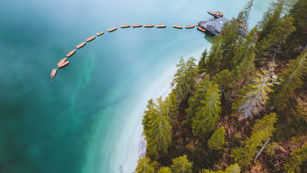 a long line of boats floating on top of a body of water