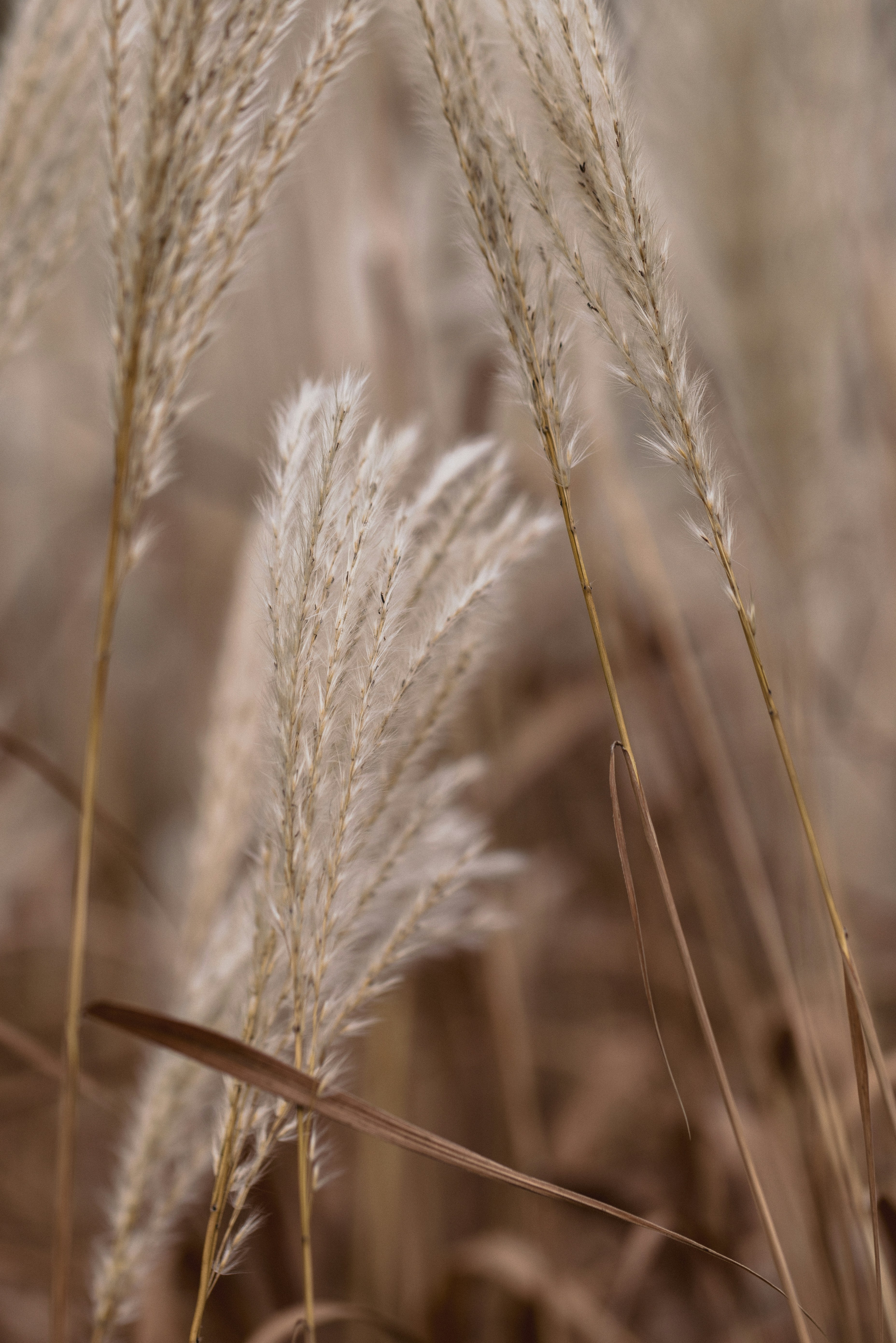 Photo by filipp_roman_photography