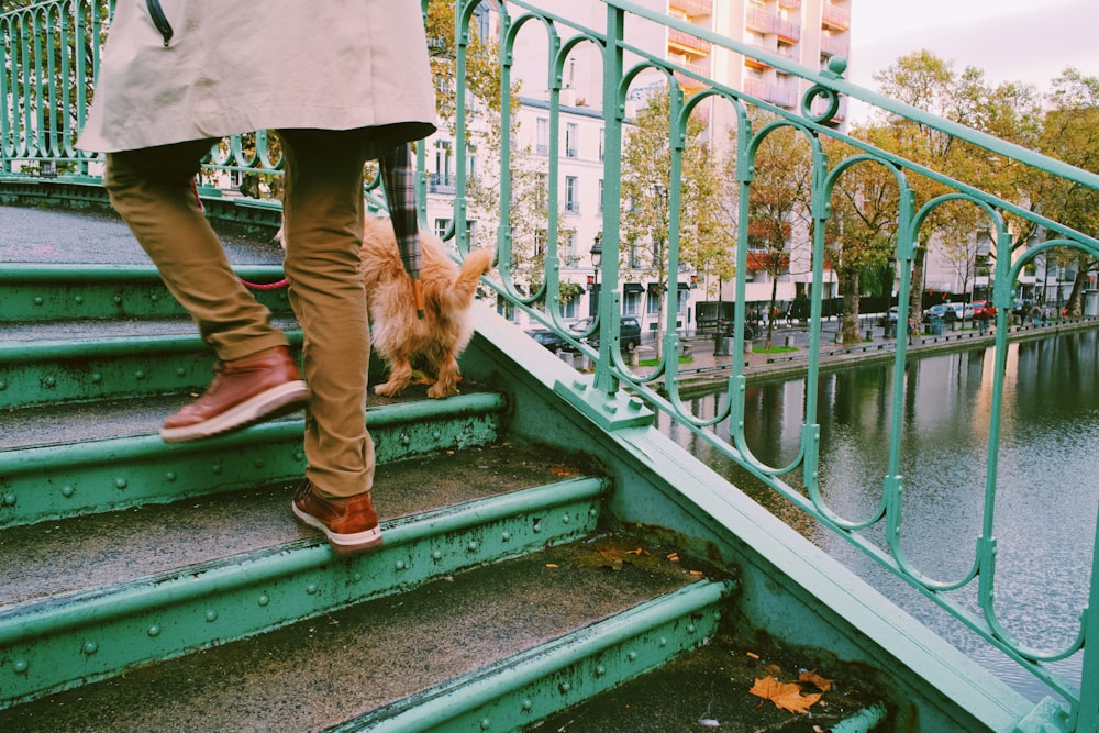 a person walking up some steps with a dog