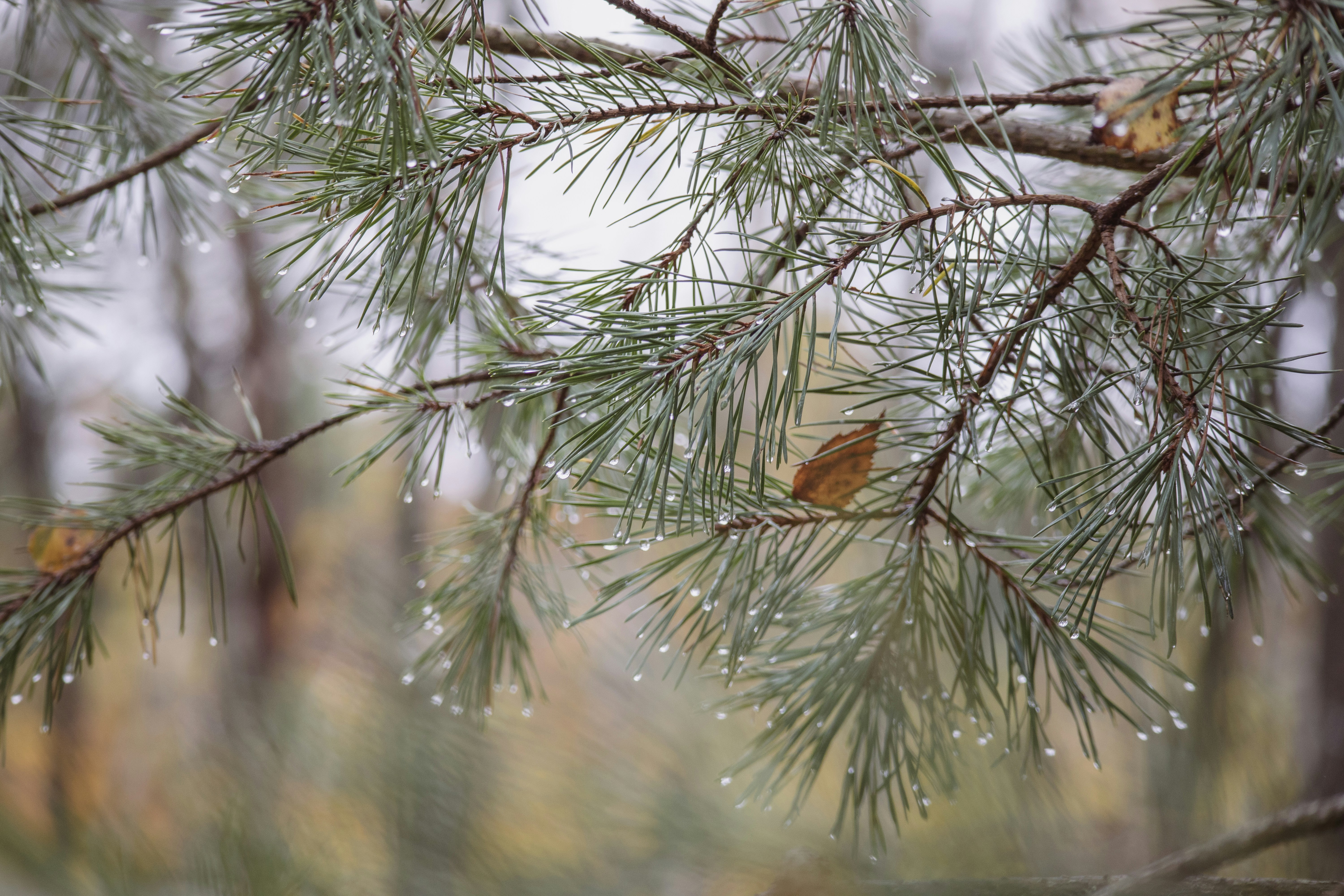 Photo by amandine_bataille_photo