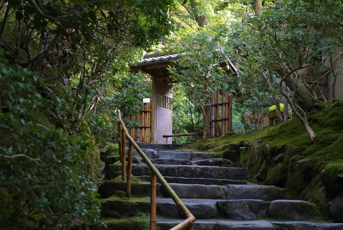 境内へ続く苔むした石段と山門