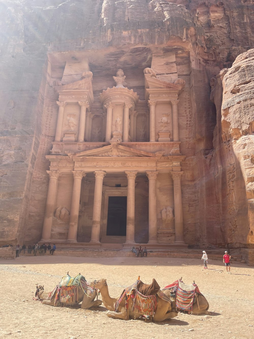 a group of camels sitting in front of a building