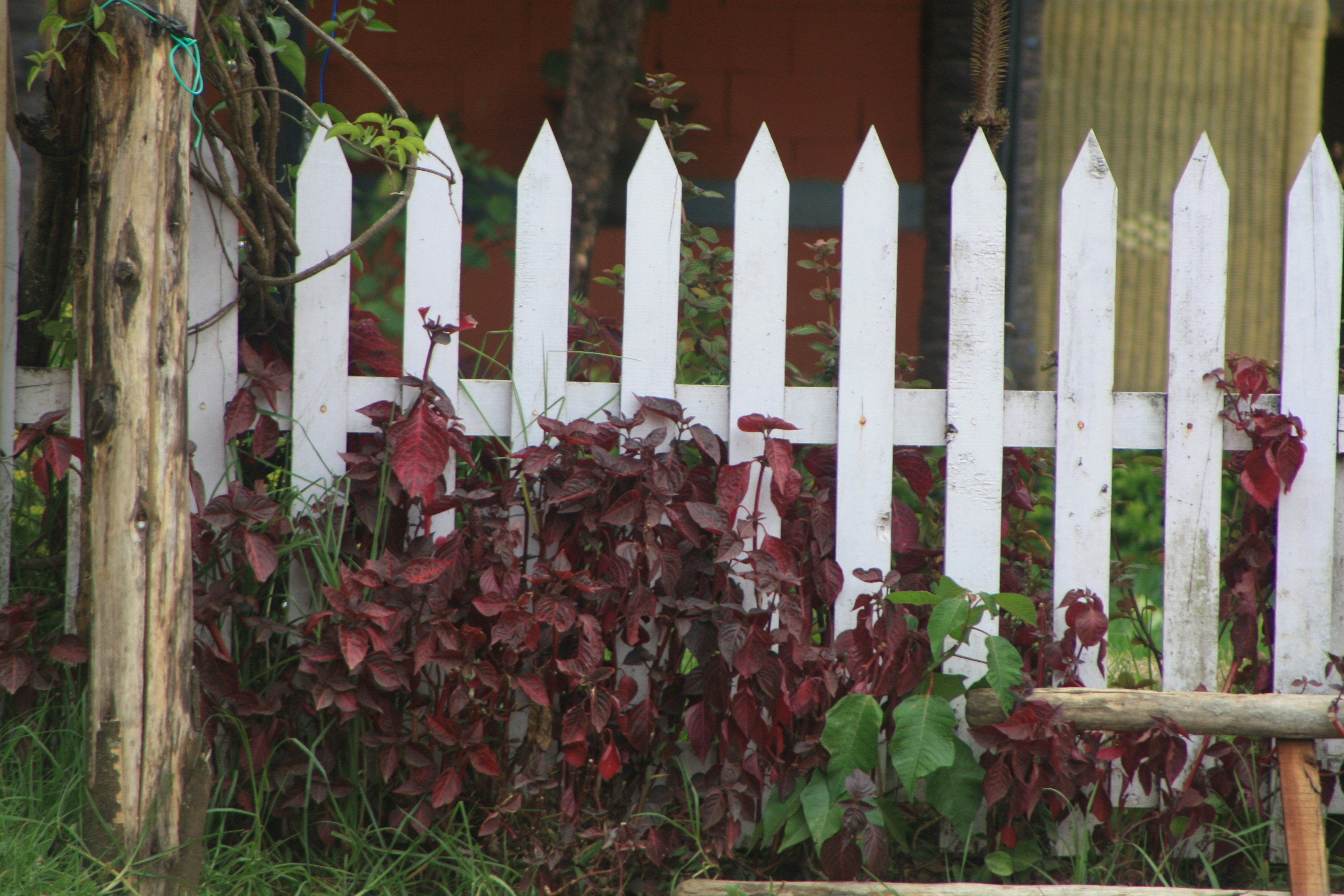 10 Long-Term Fence Care Maintenance Strategies for Homeowners