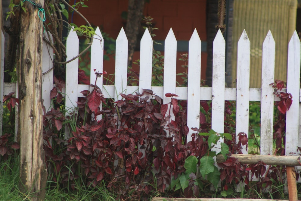 a wooden bench sitting in front of a white picket fence
