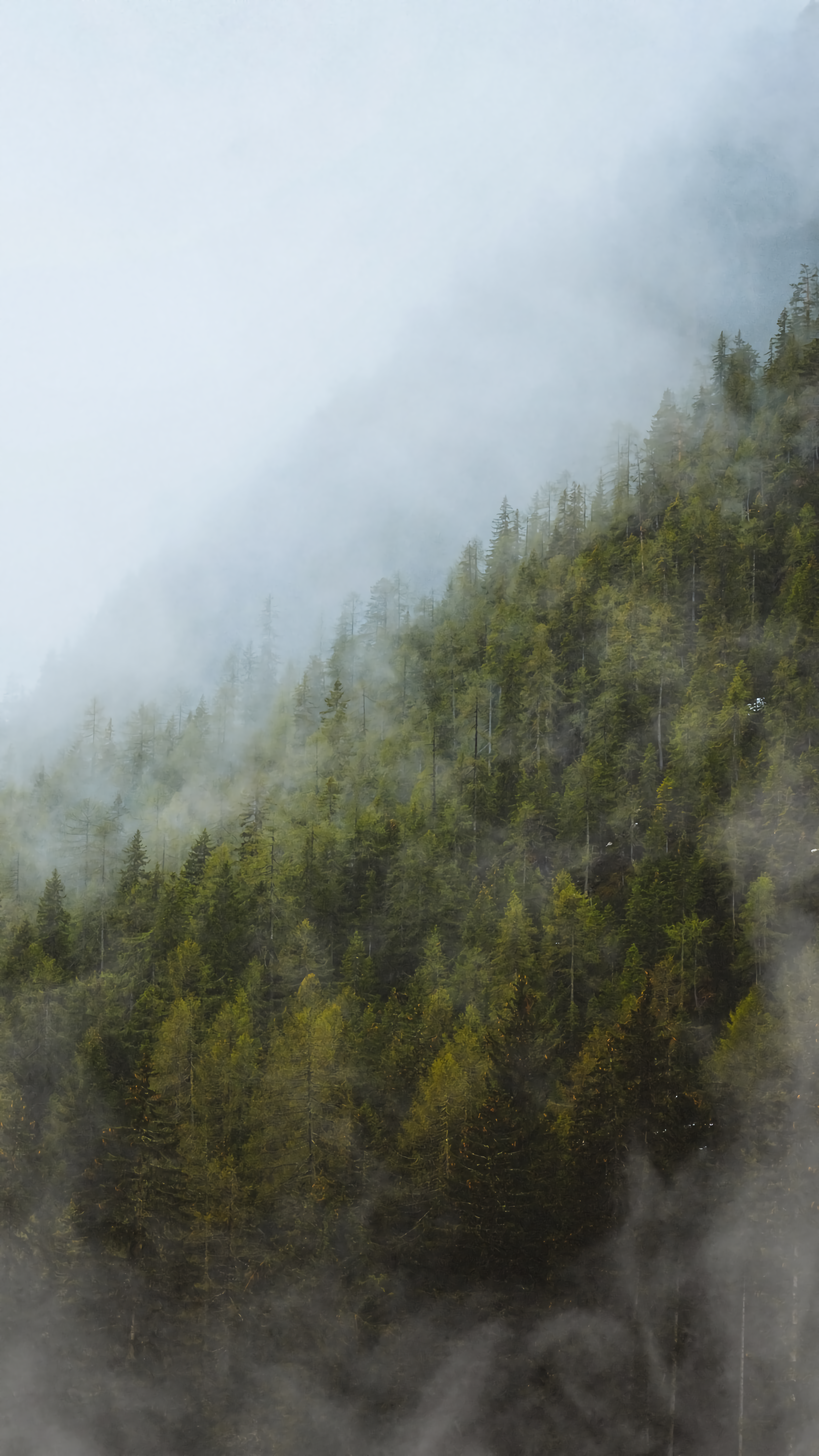 Photo by davidemanzini_