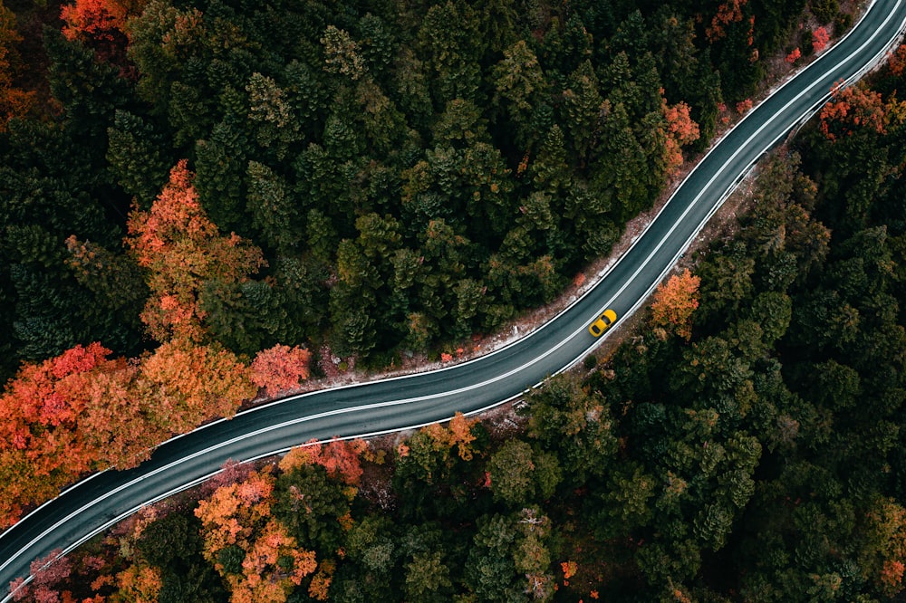 an aerial view of a road surrounded by trees