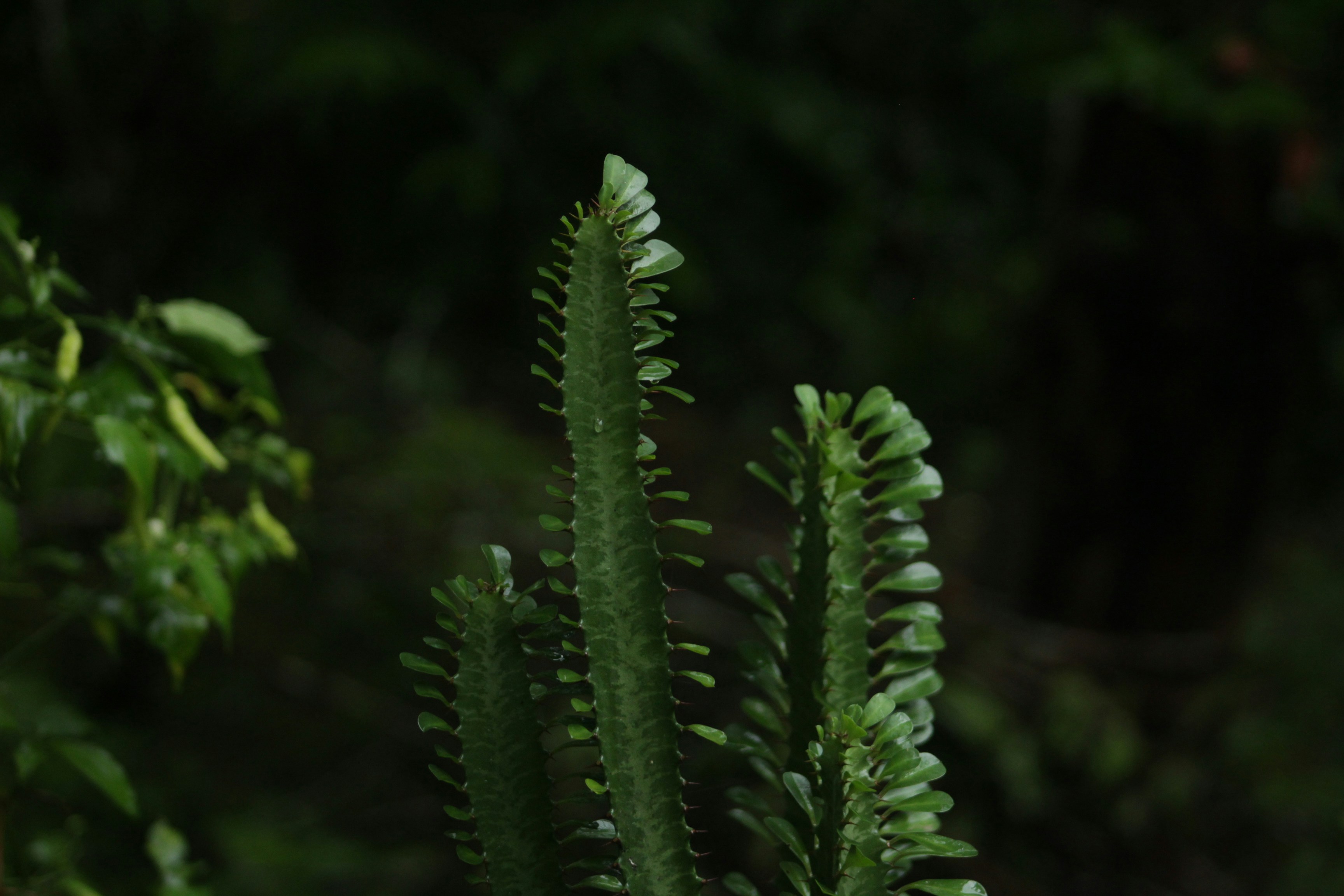 Photo by ricky_fajar_wisnu_adiputra