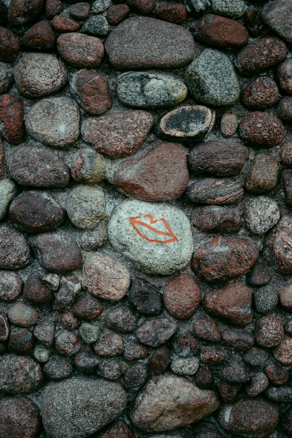 a rock wall with a rock with a letter s on it