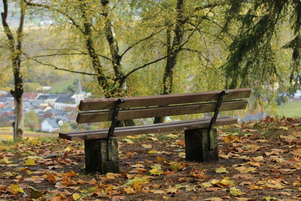 a wooden bench sitting in the middle of a park