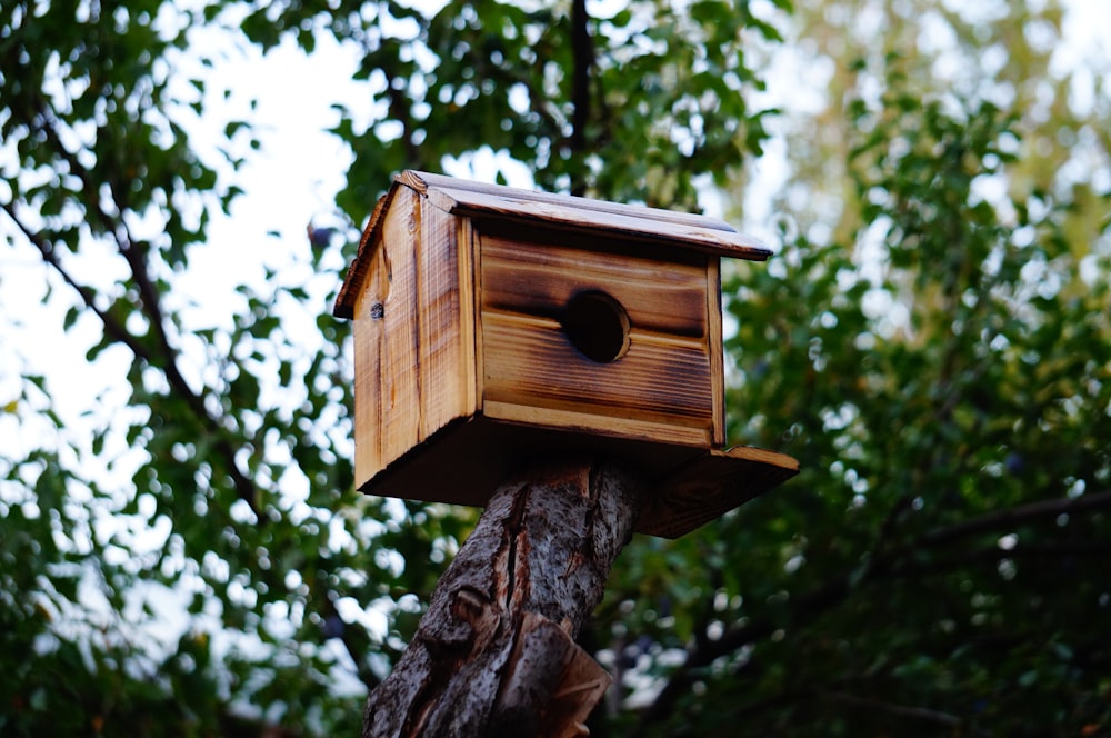 a birdhouse on a tree in the woods