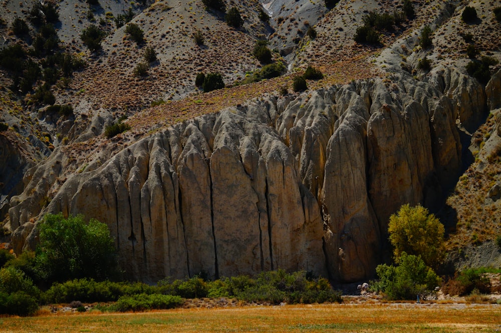 a large rock formation in the middle of a field