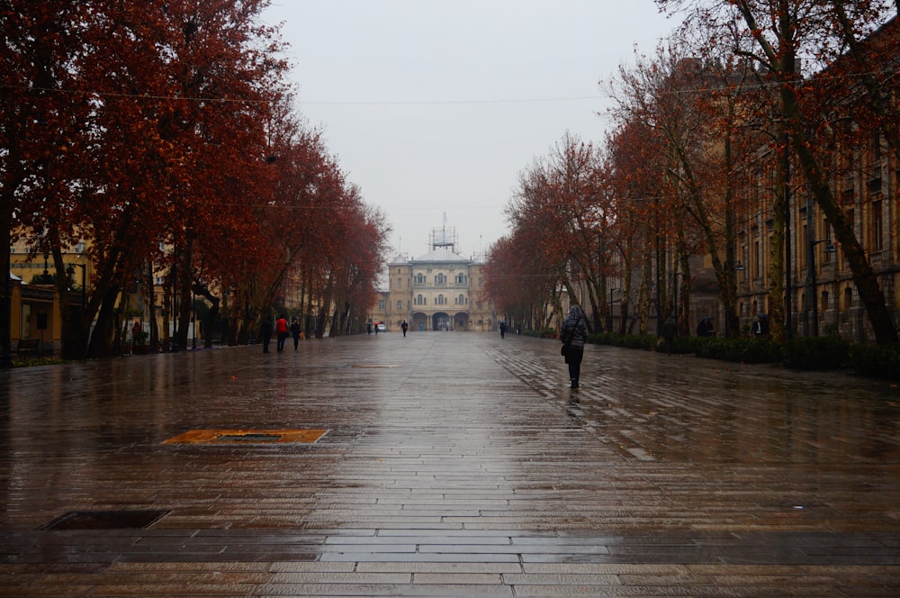 a person walking down a street in the rain