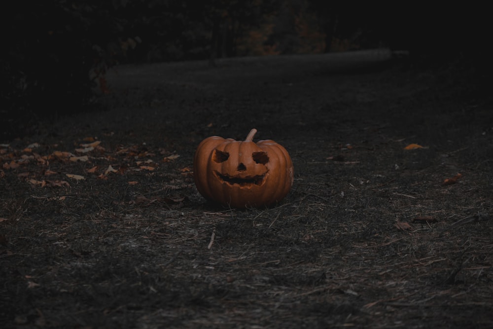 a carved pumpkin sitting in the middle of a field