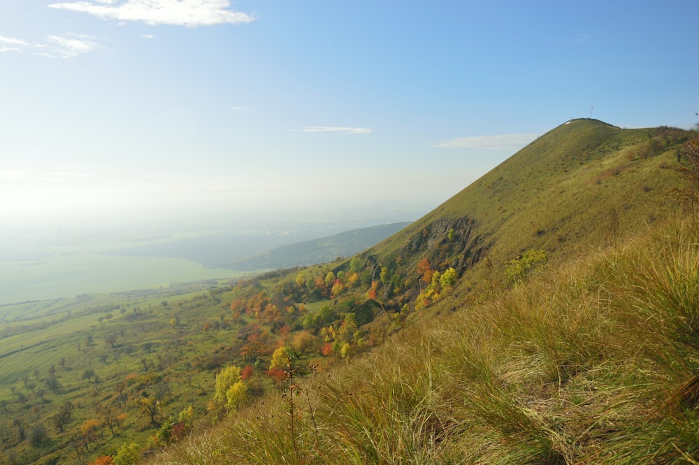 a grassy hill with trees on the top of it