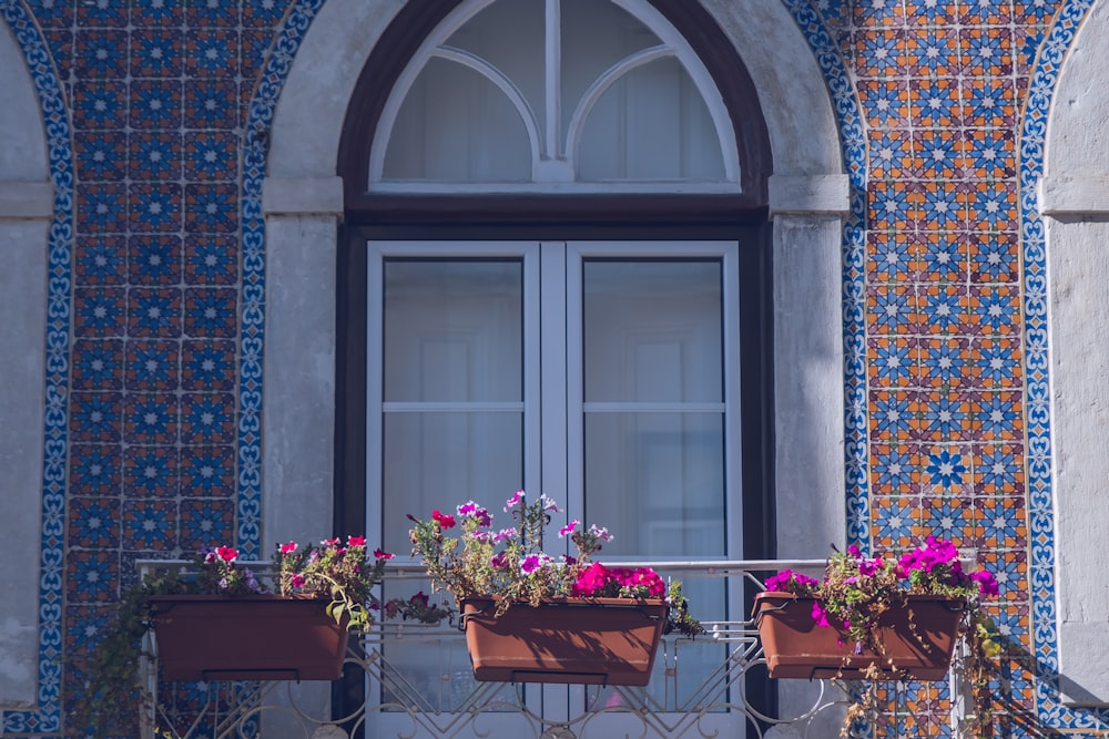 a couple of flower pots sitting on top of a window sill