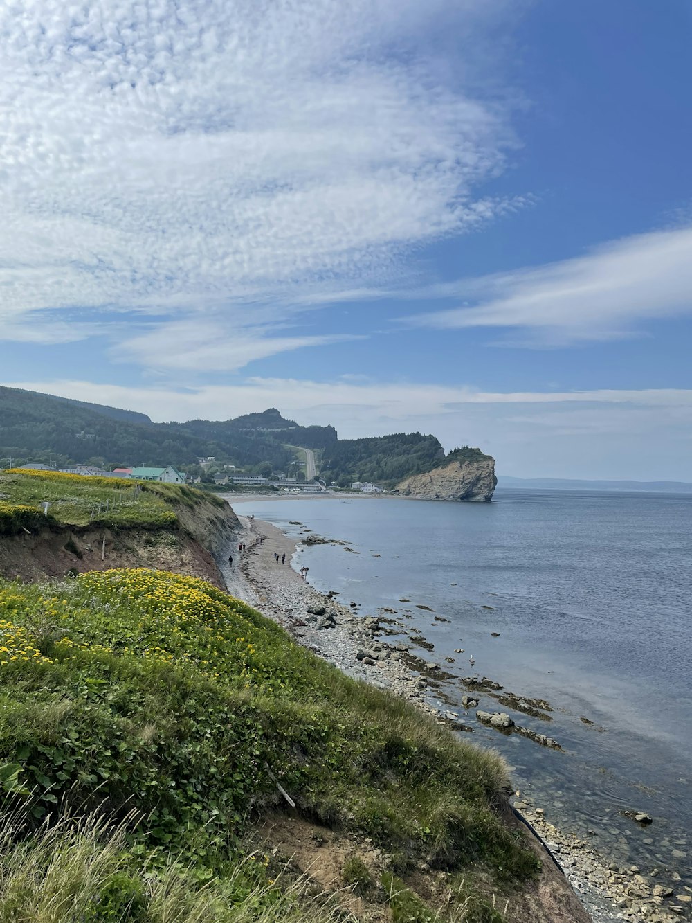 a scenic view of a beach with a cliff in the background
