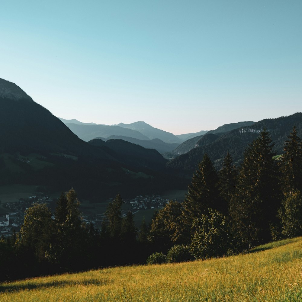 a grassy field with trees and mountains in the background