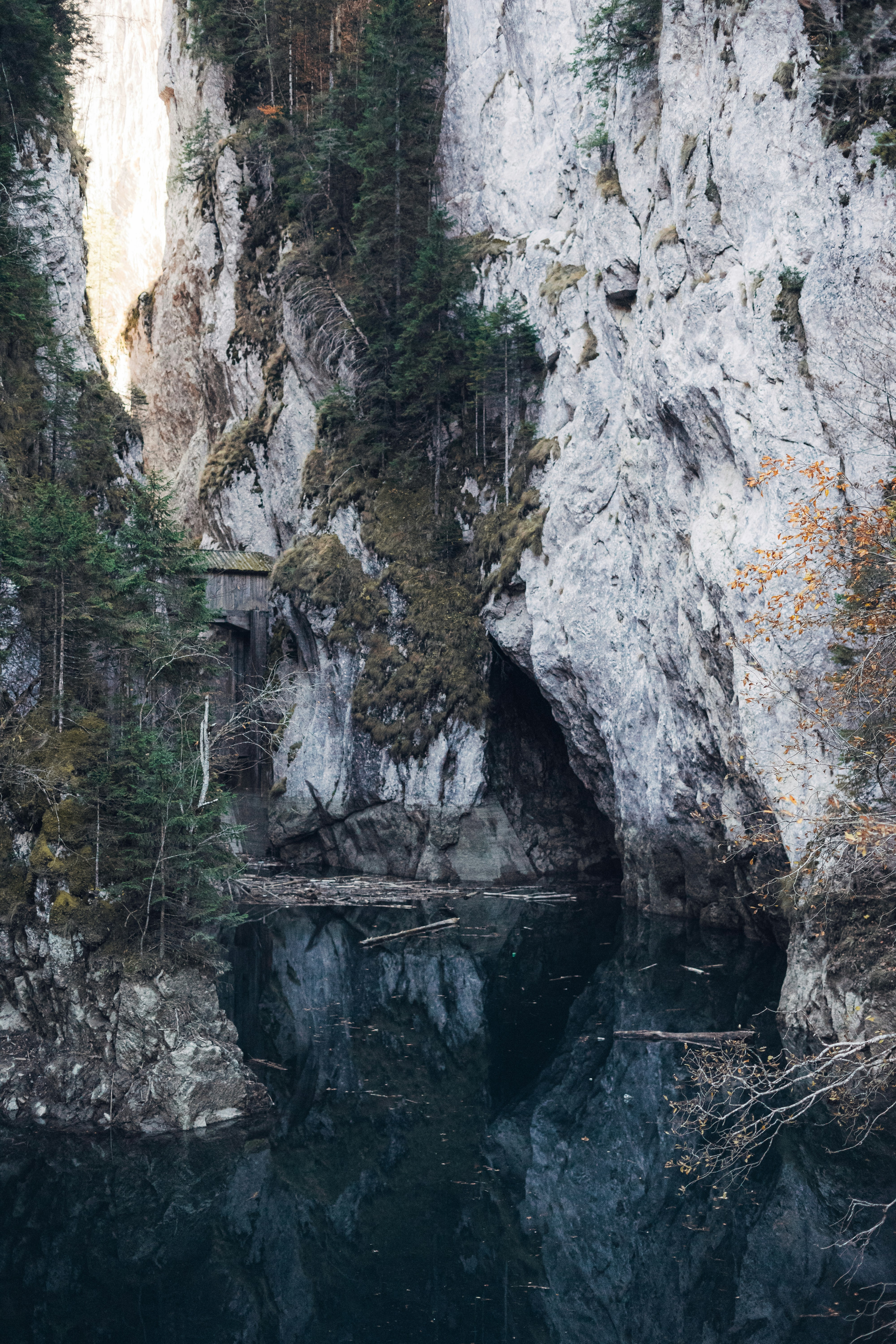 Photo by traiantitilincu