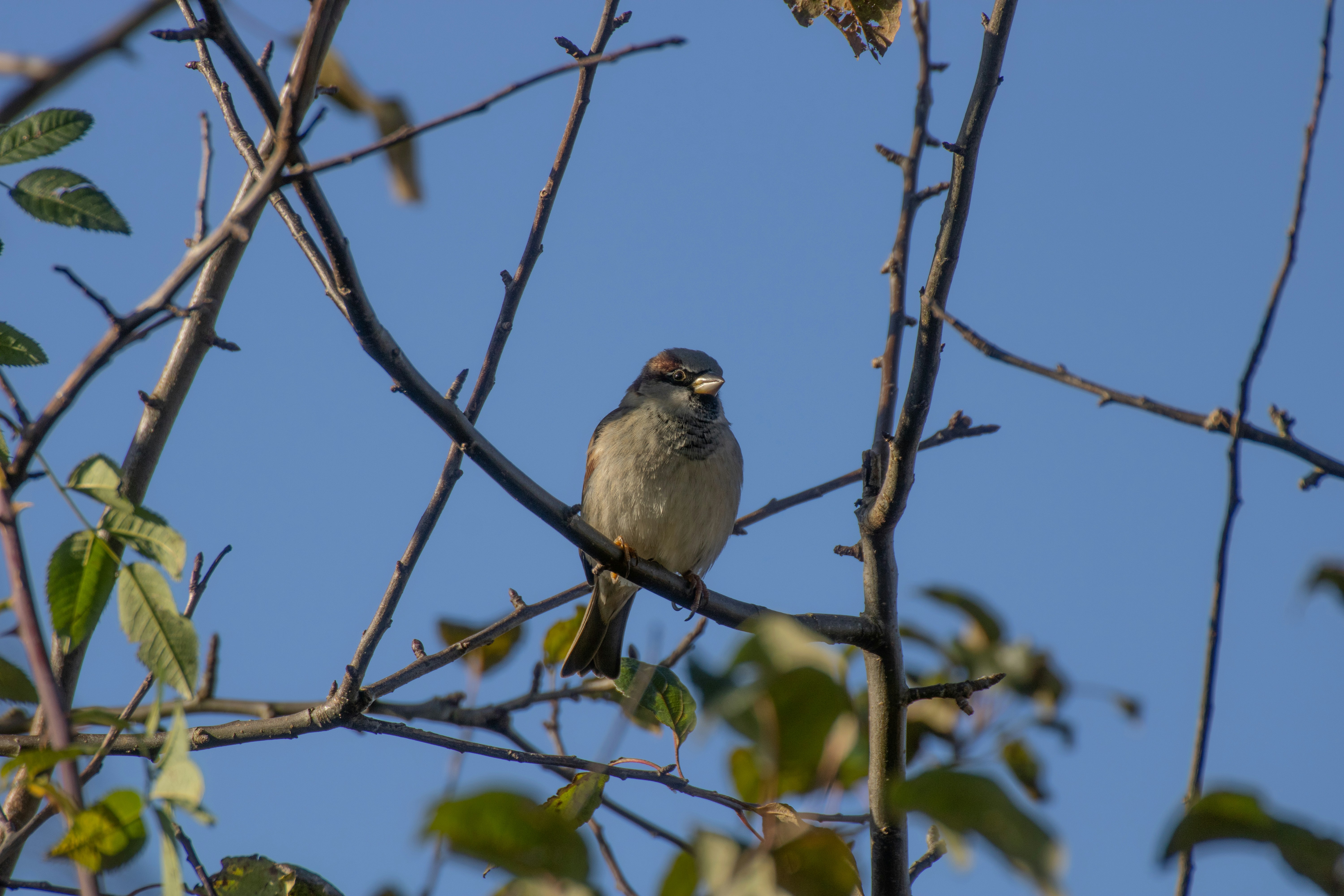 Photo by mirkofabian