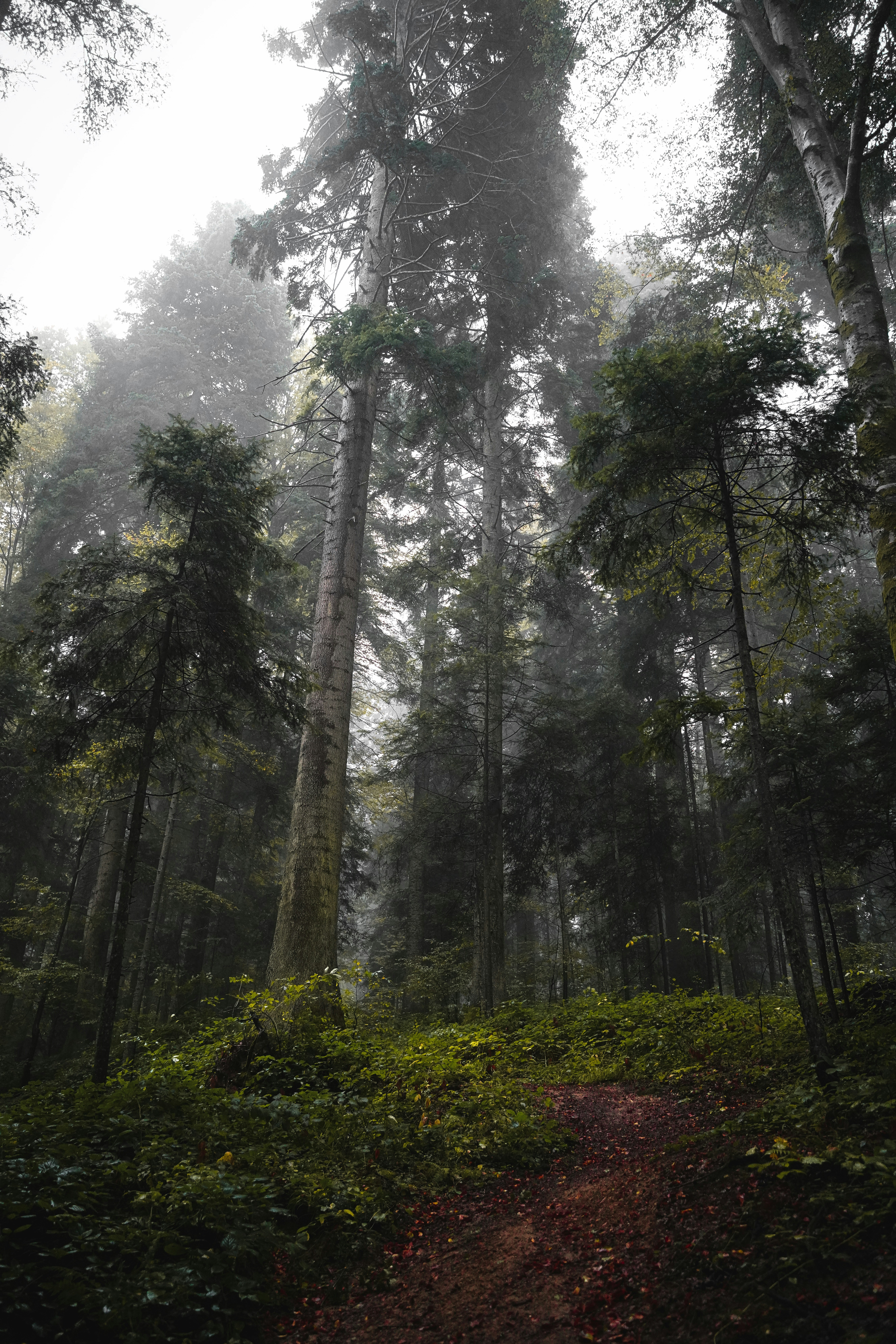 Photo by djordjevukojicic