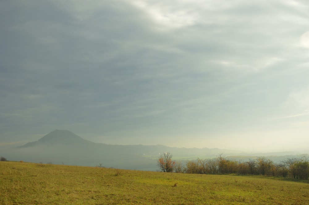 a grassy field with a mountain in the distance