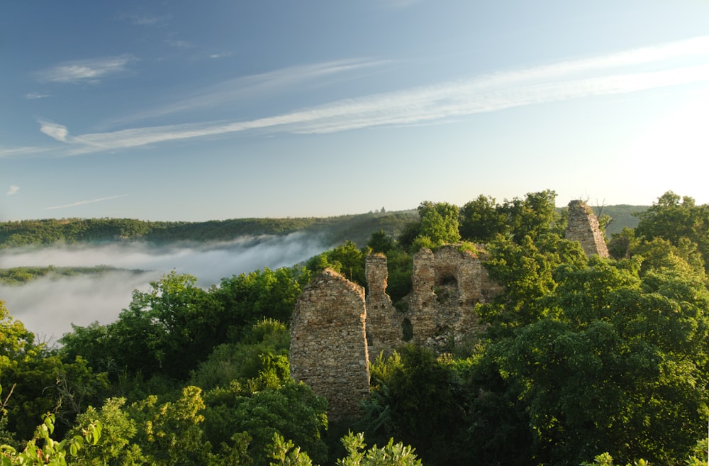 a castle in the middle of a forest