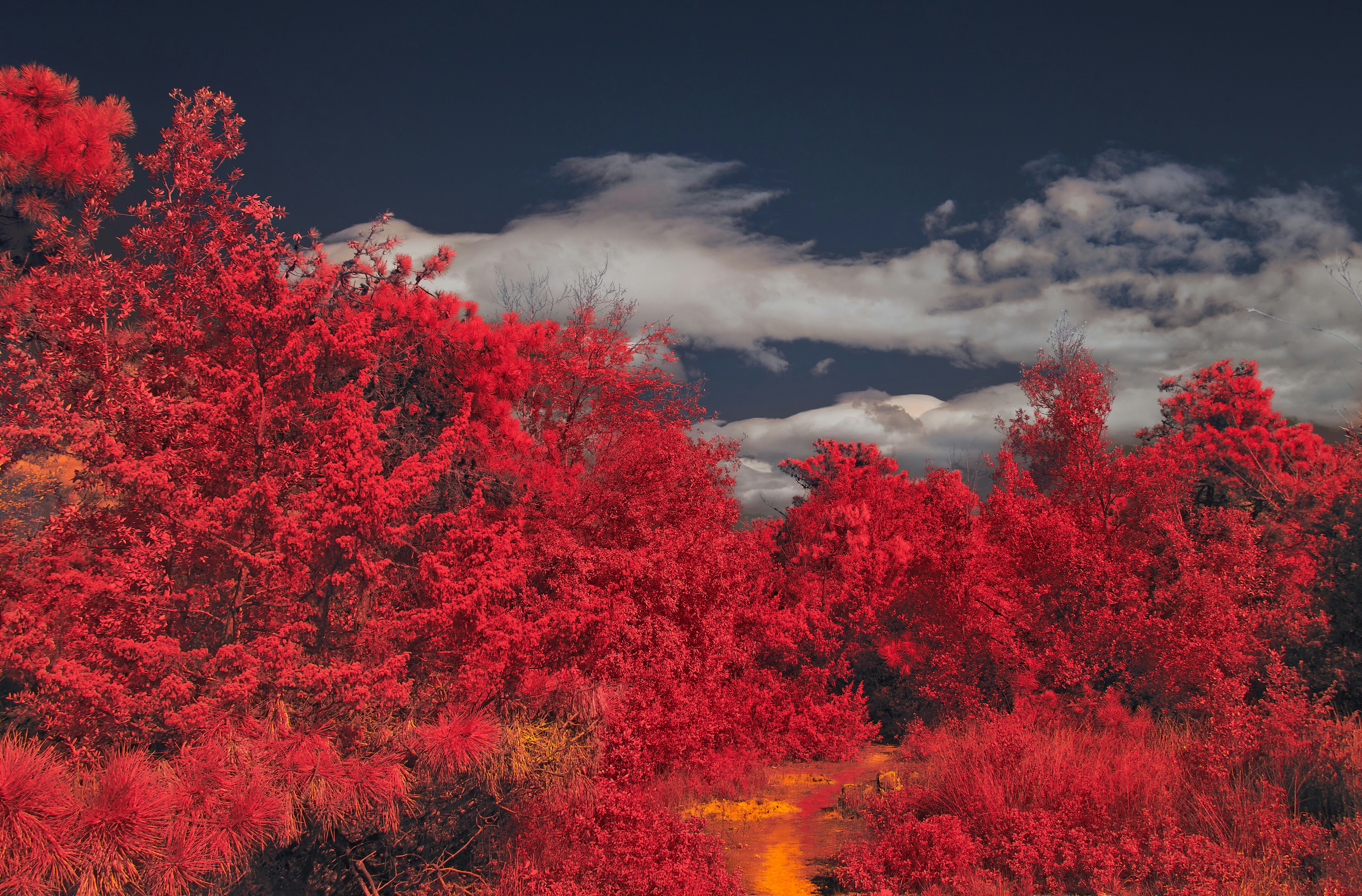 Photo by wolfgang_hasselmann