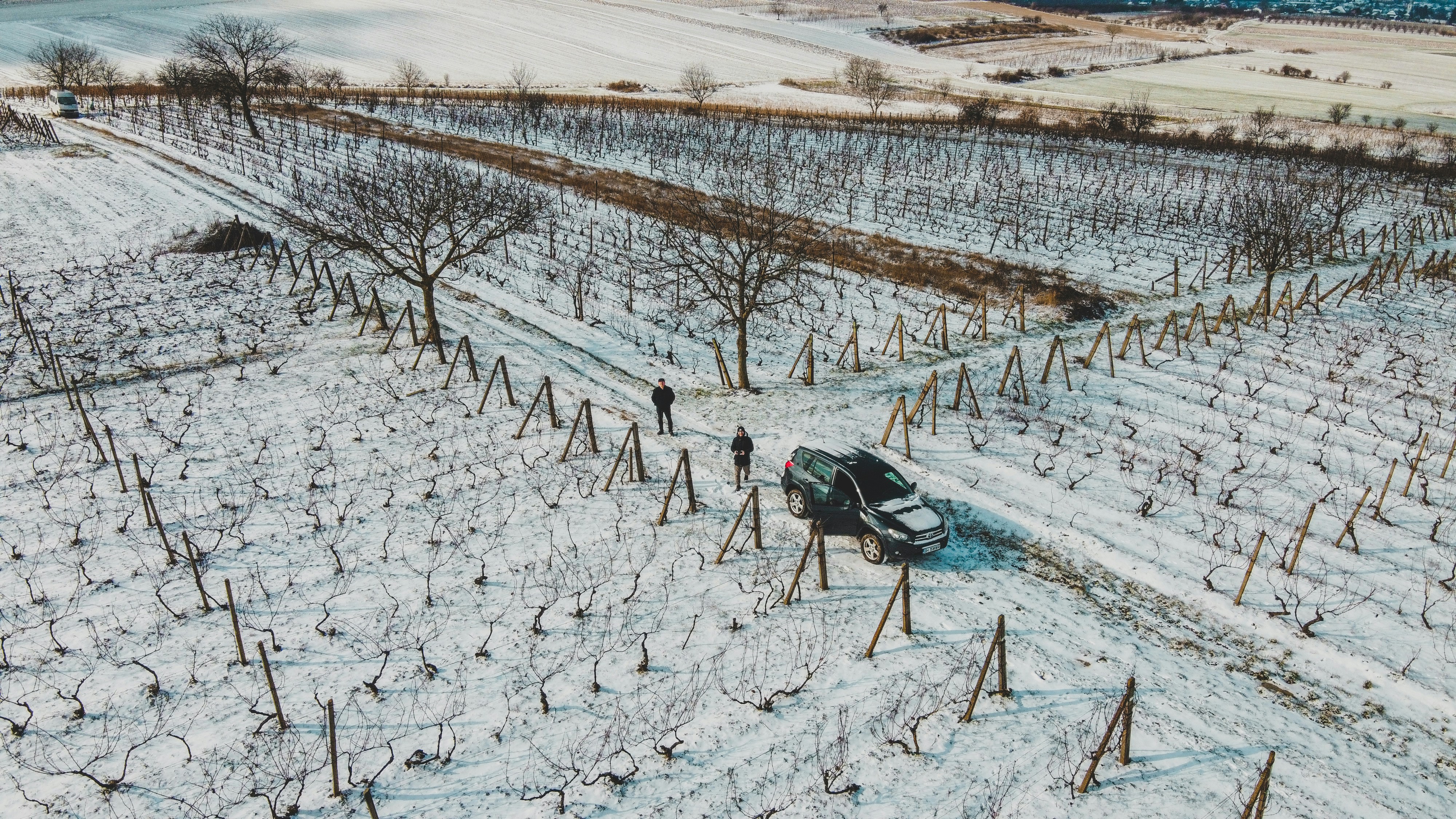 Photo by czapp_arpad