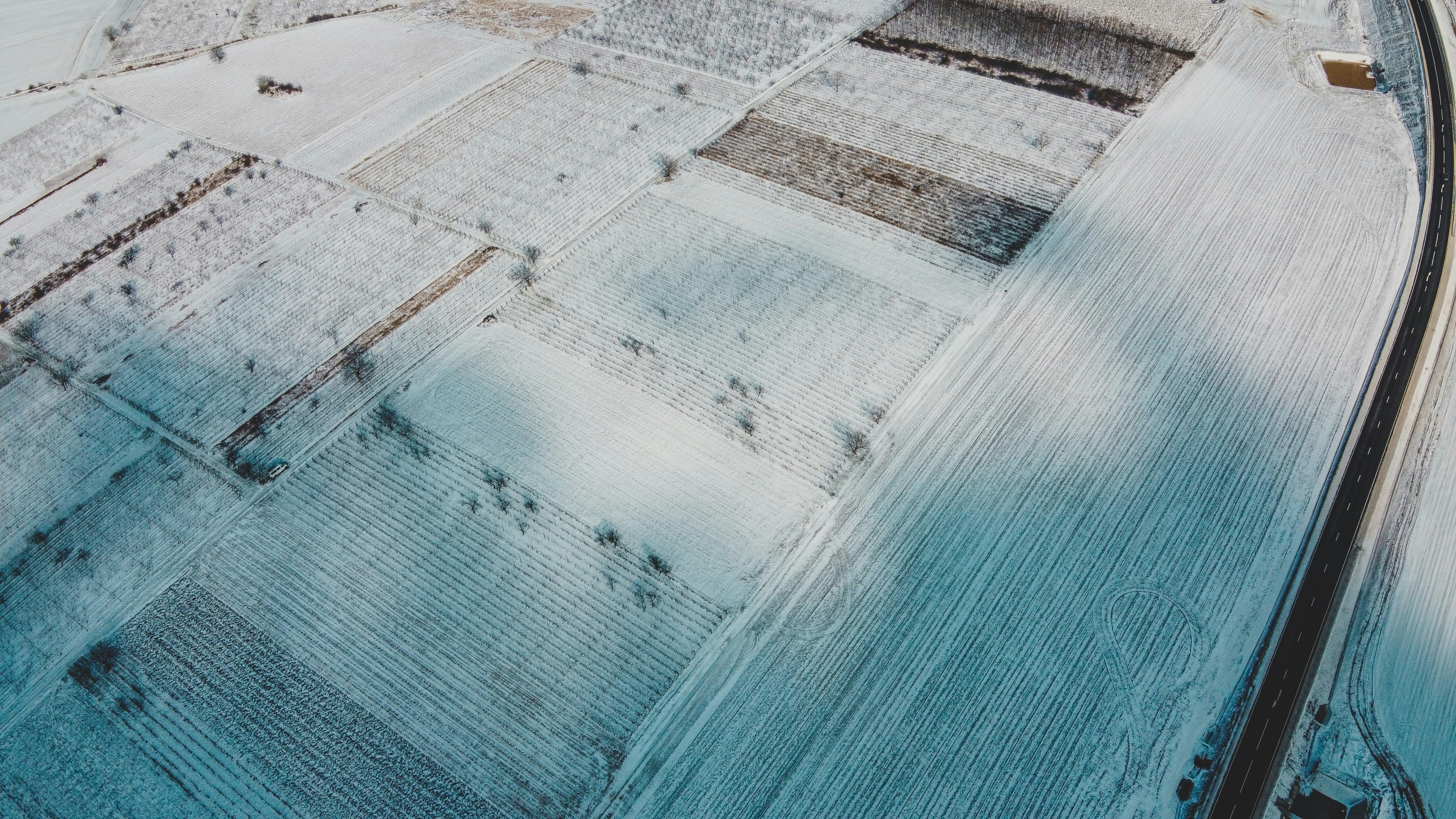 Photo by czapp_arpad