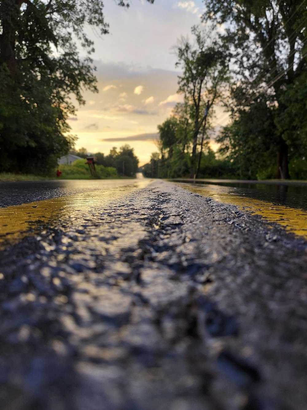 a wet road with a yellow line on the side