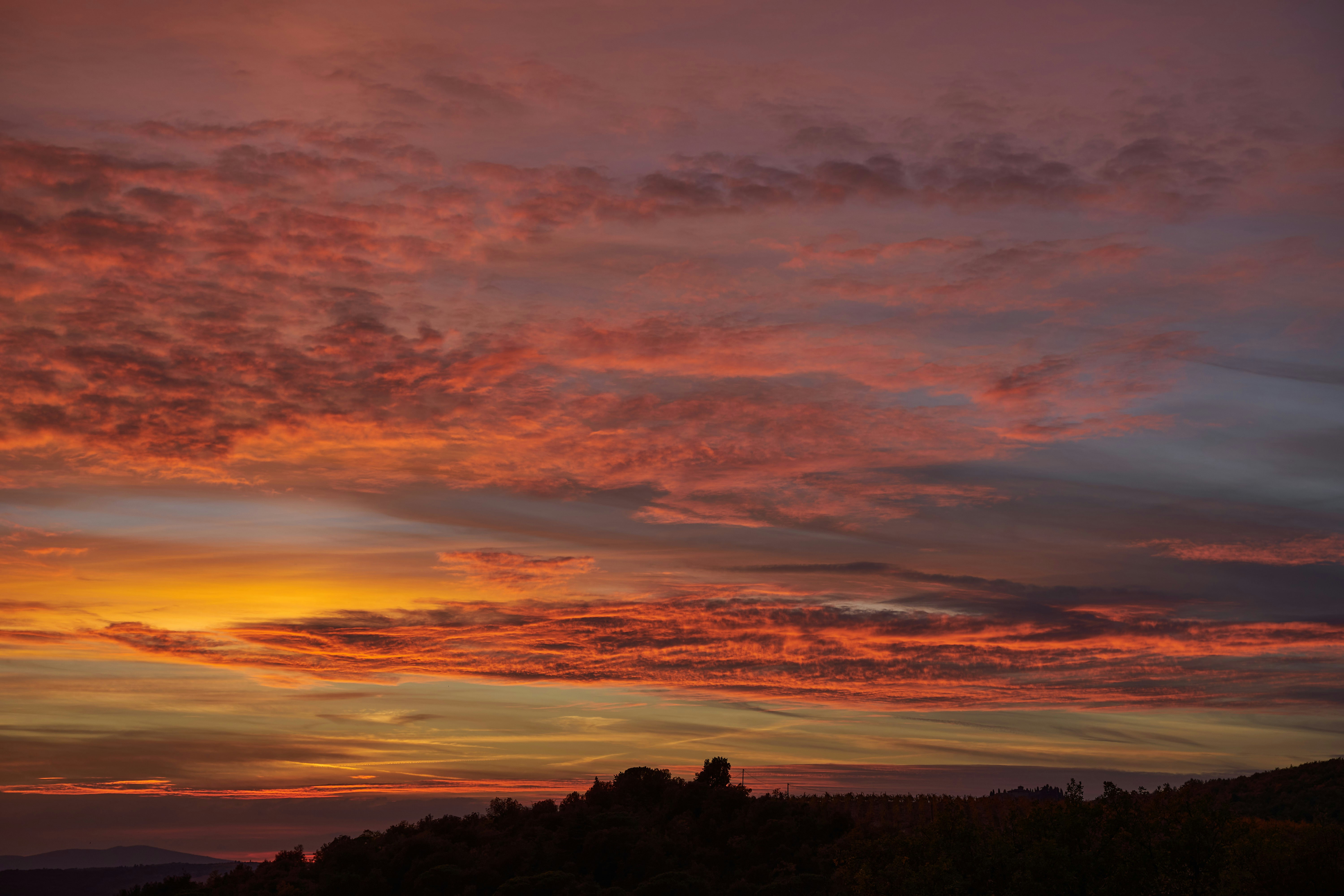 Photo by wolfgang_hasselmann