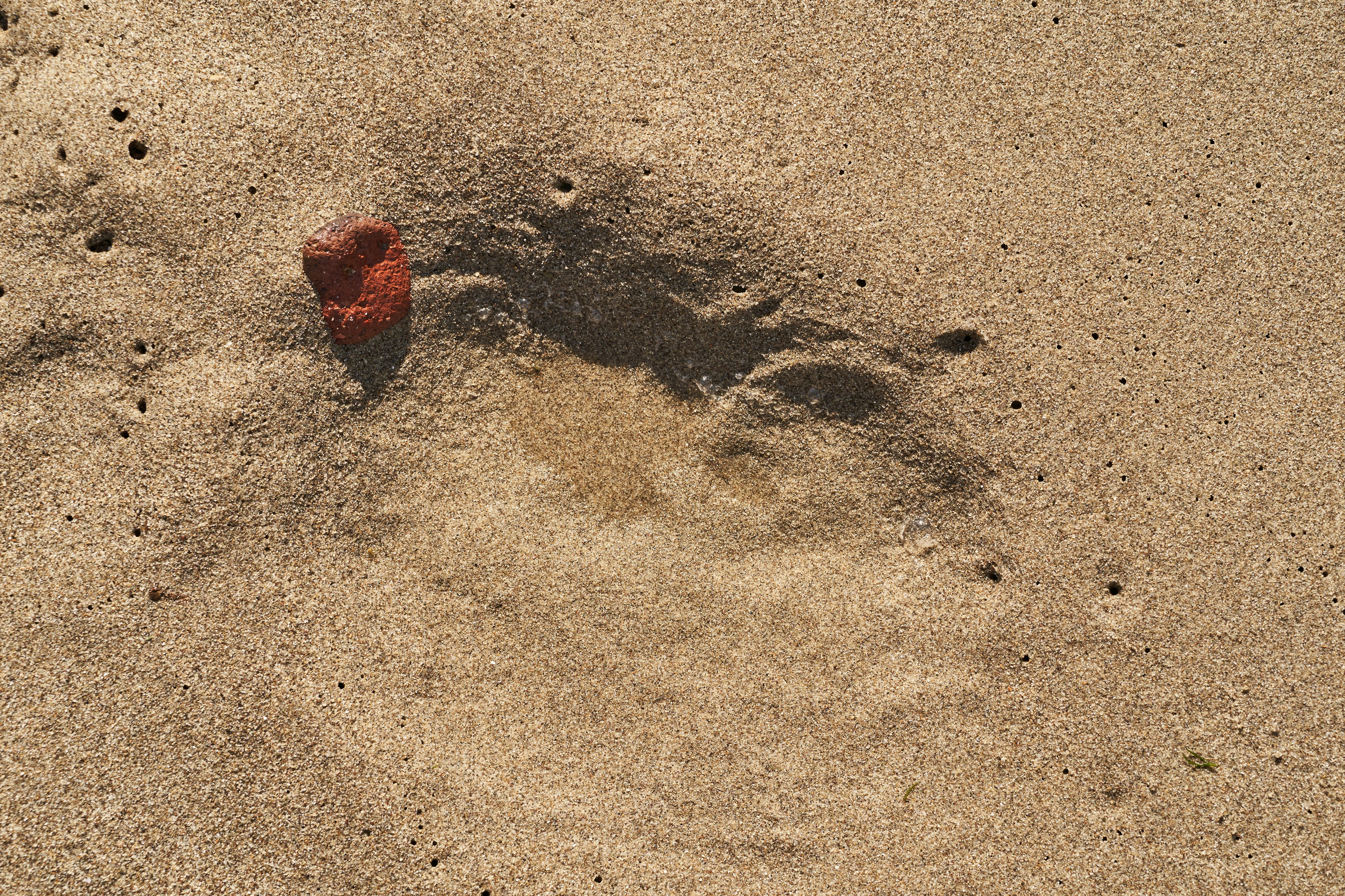 Photo by wolfgang_hasselmann