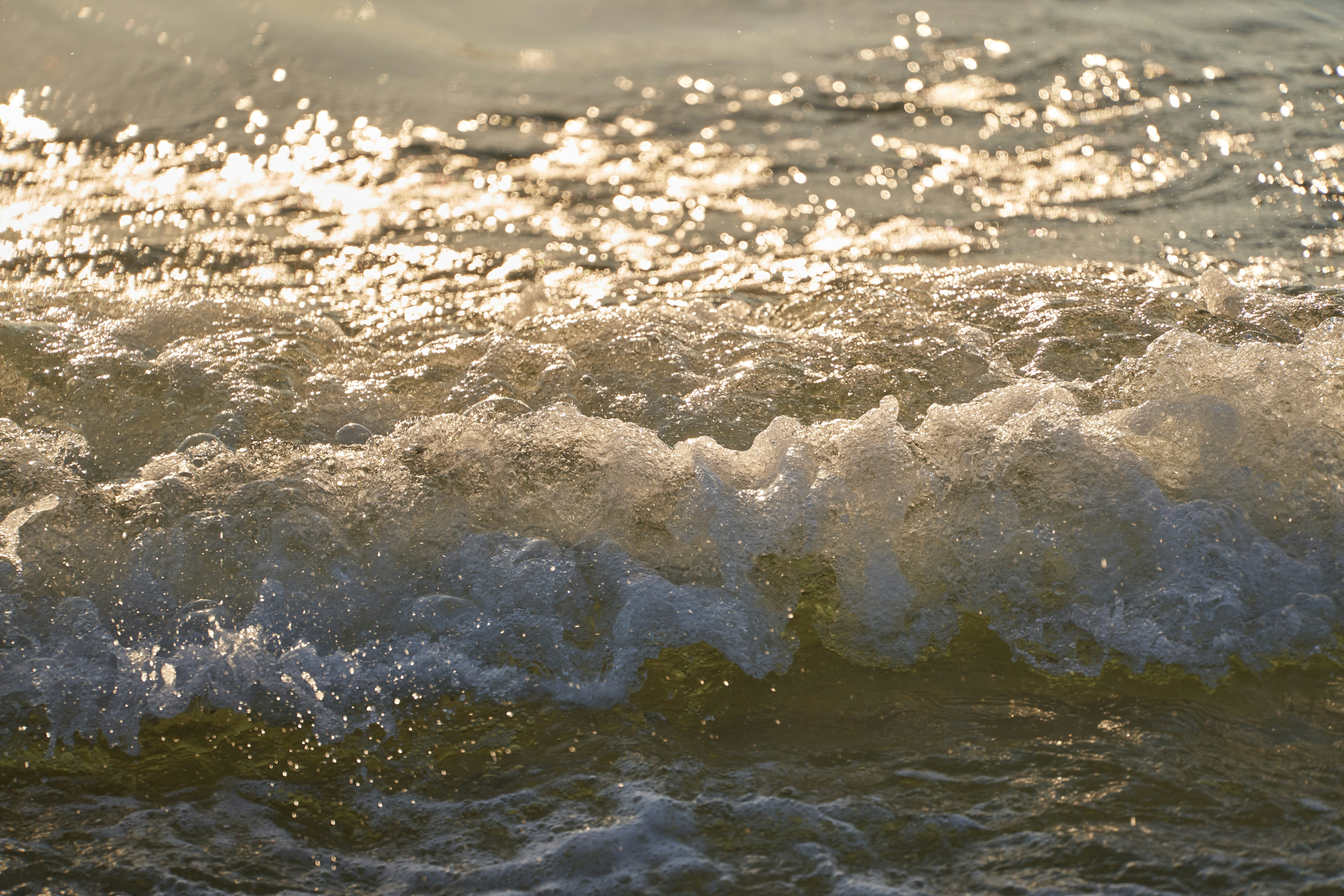 Photo by wolfgang_hasselmann