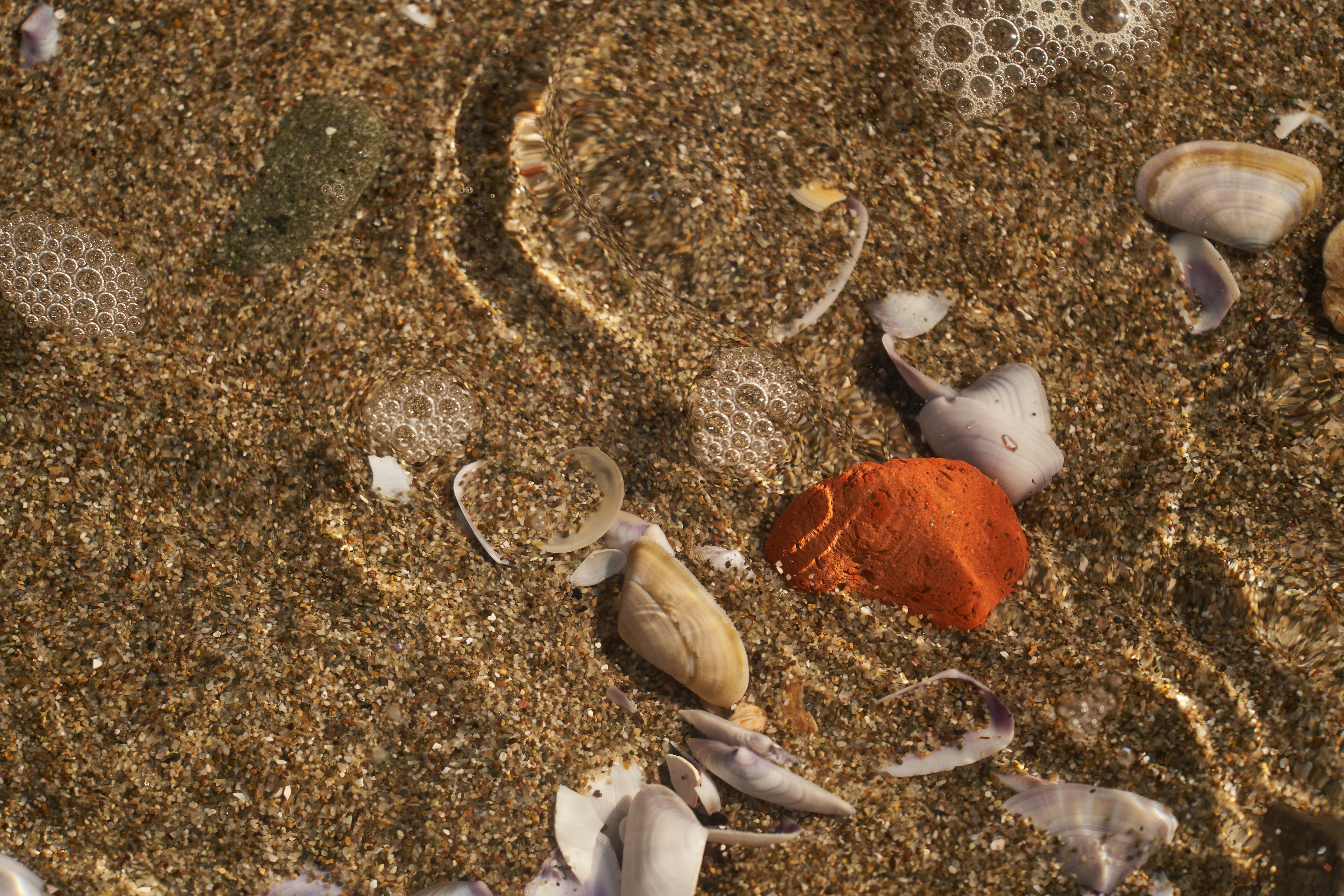 Photo by wolfgang_hasselmann