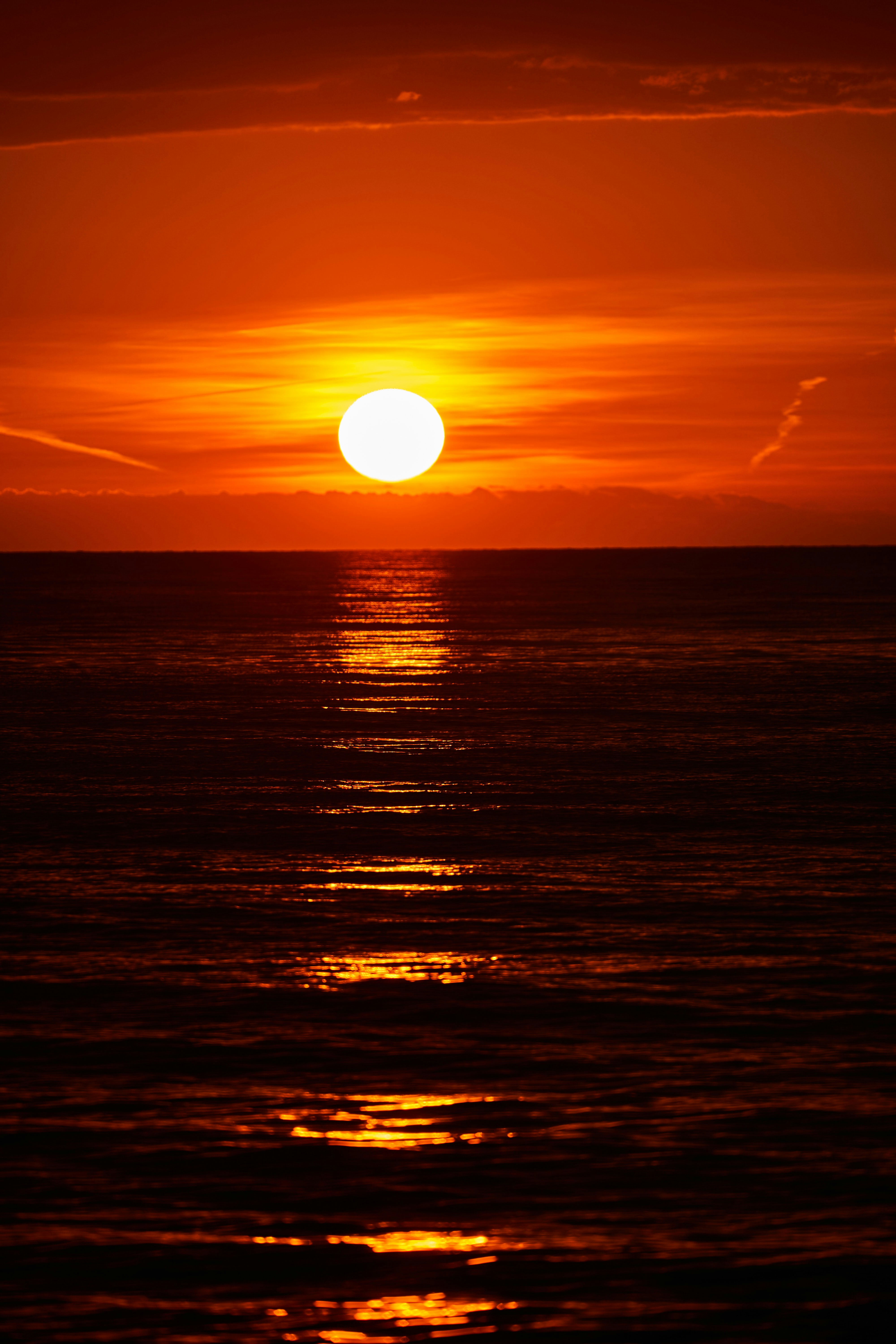 Photo by wolfgang_hasselmann