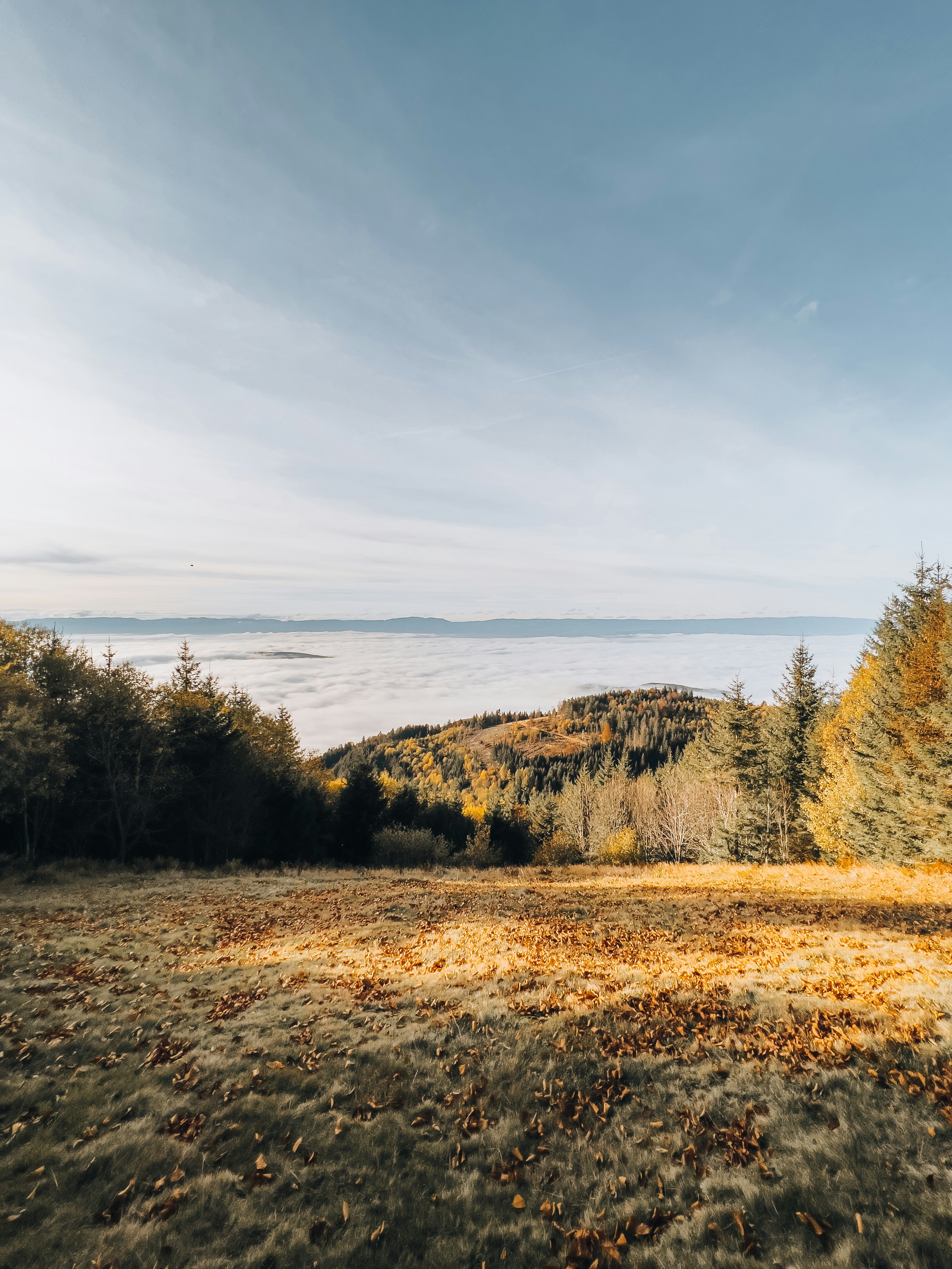 Photo by andreacaramello