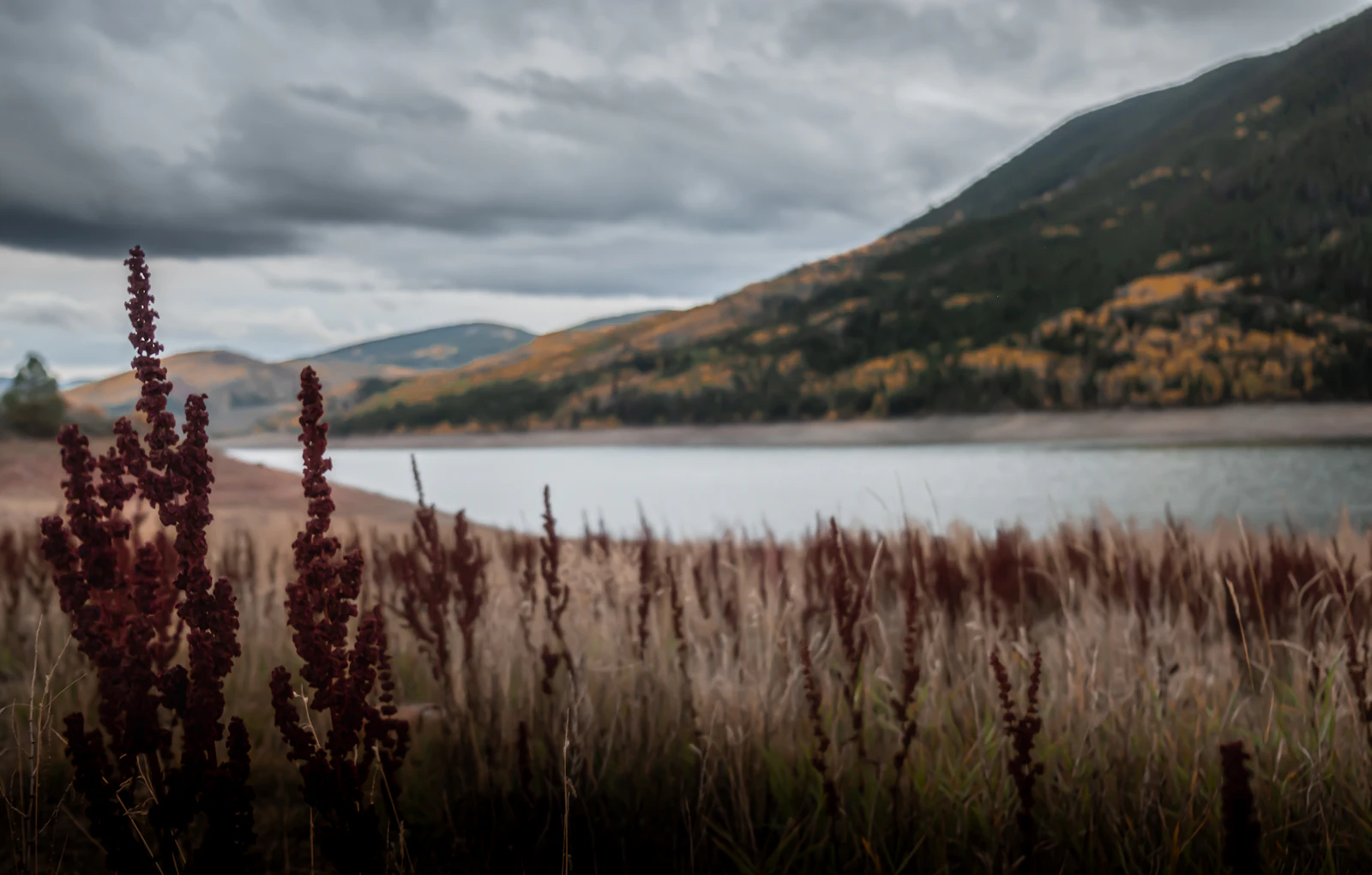 Sleeping Indian Lodge: A Remote Wilderness Ranch near Telluride