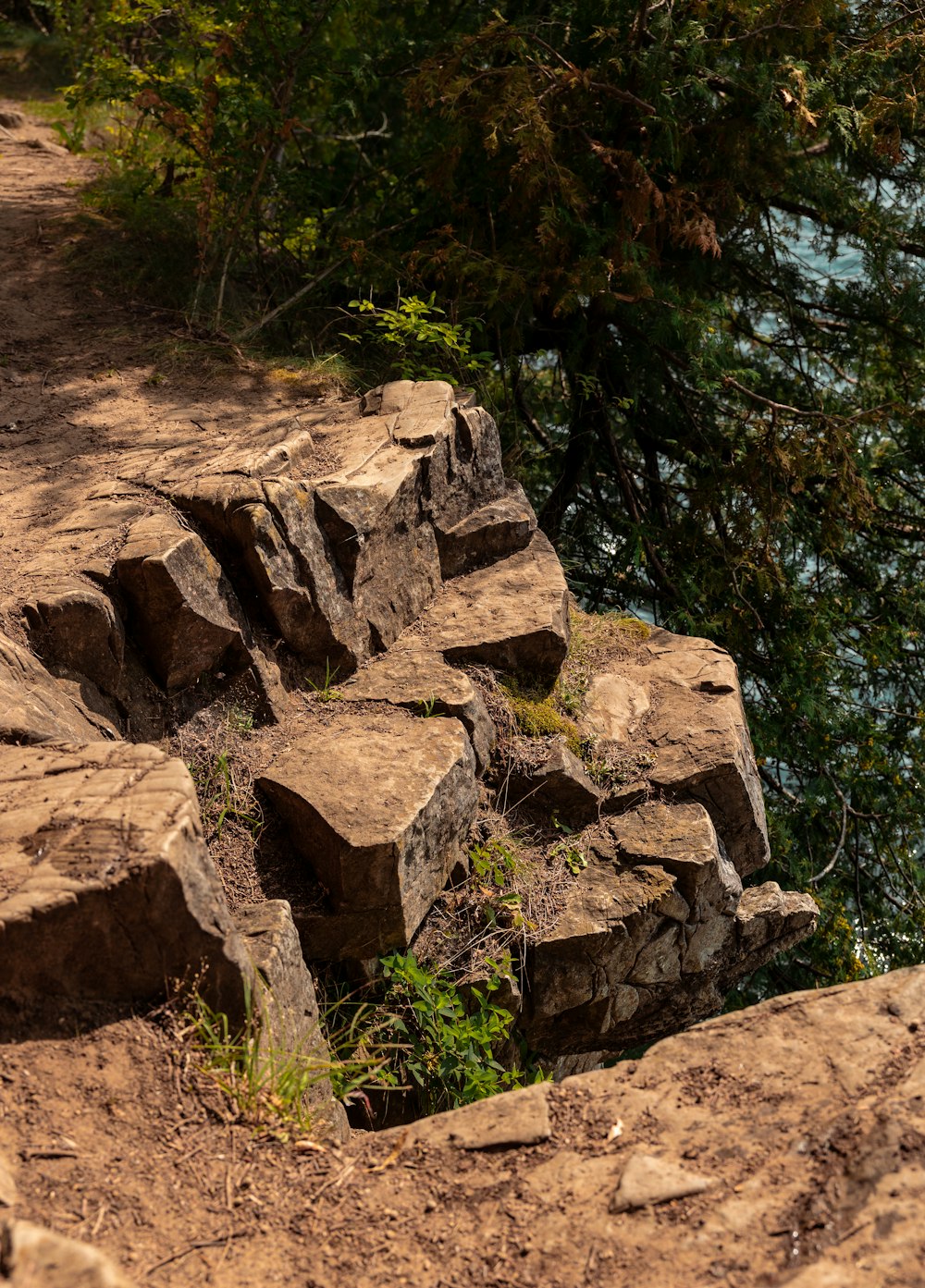 a bird sitting on top of a pile of rocks