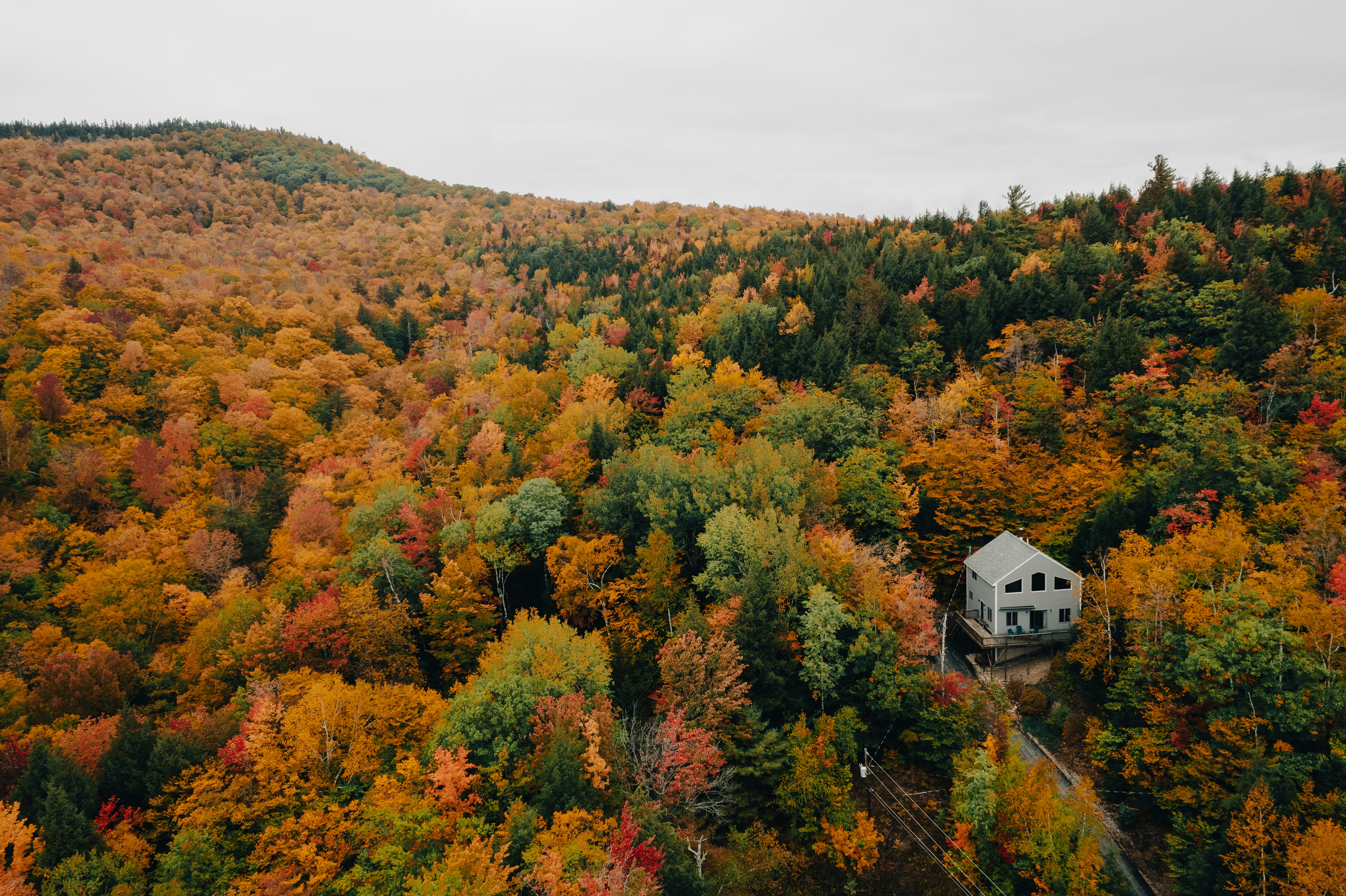 a house in the middle of a forest surrounded by trees