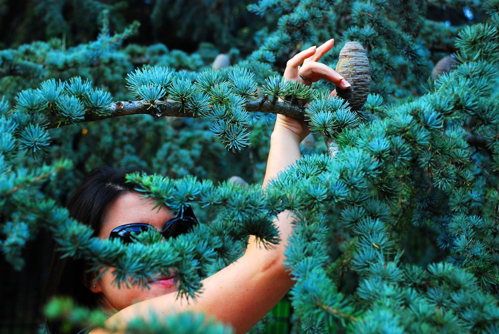 a woman is holding a branch of a pine tree