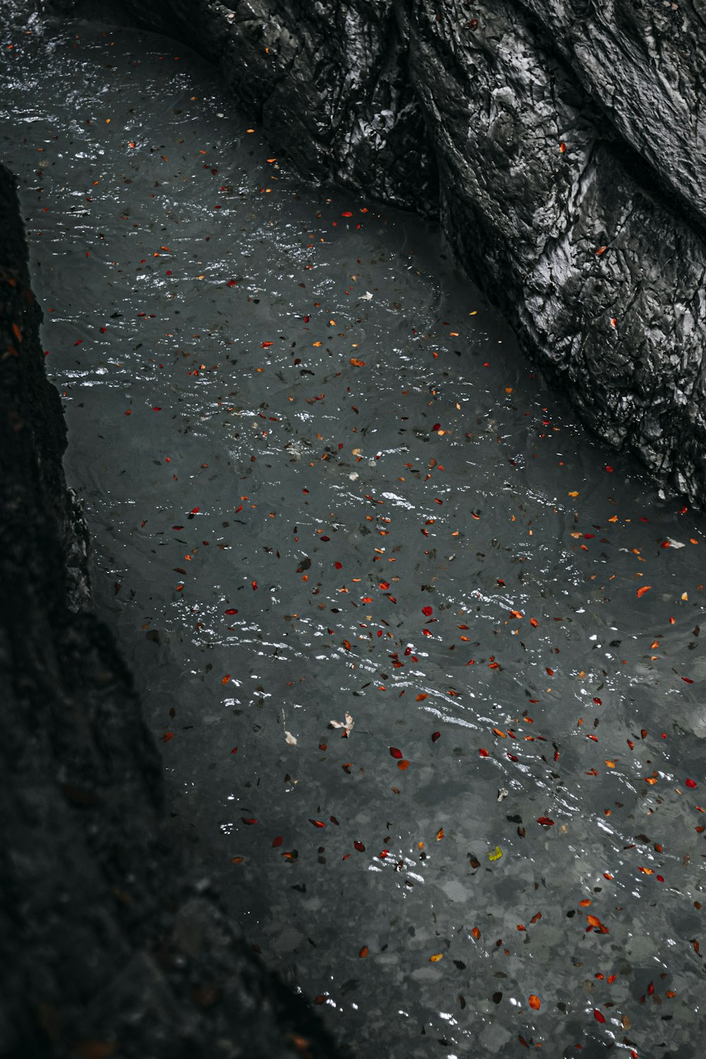 a black and white photo of water and rocks